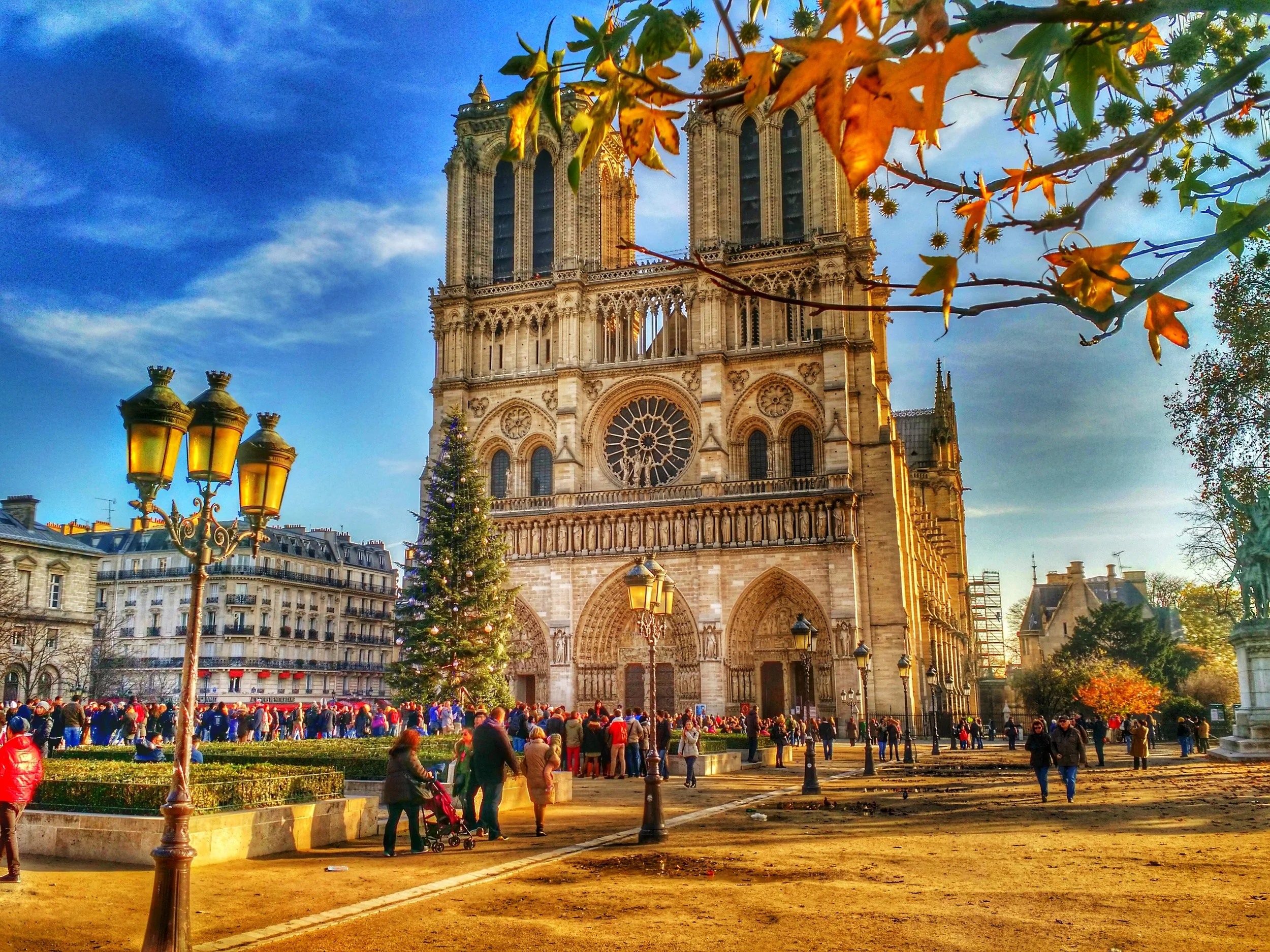Notre Dame Cathedral