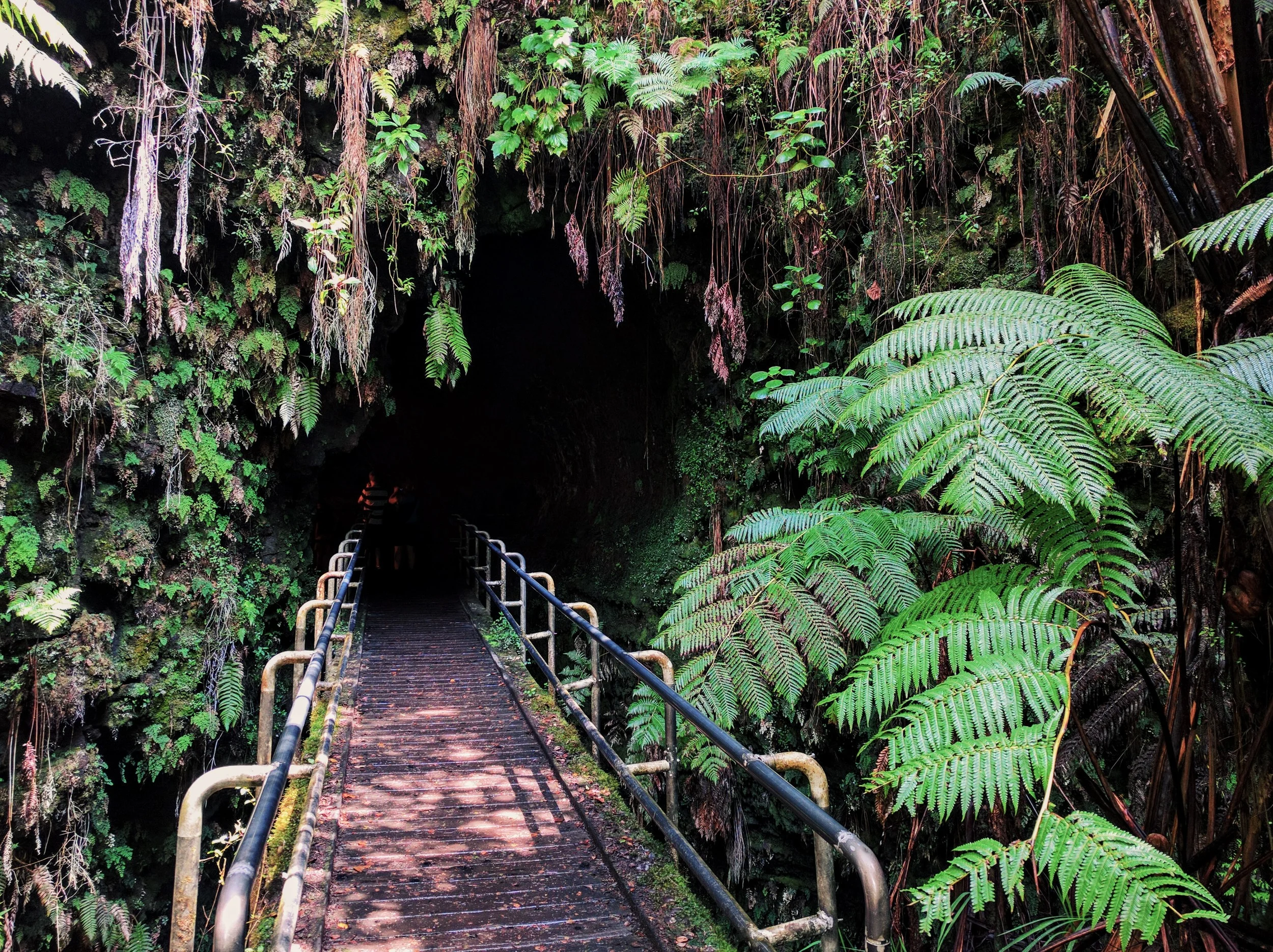 Lava Tube Hike