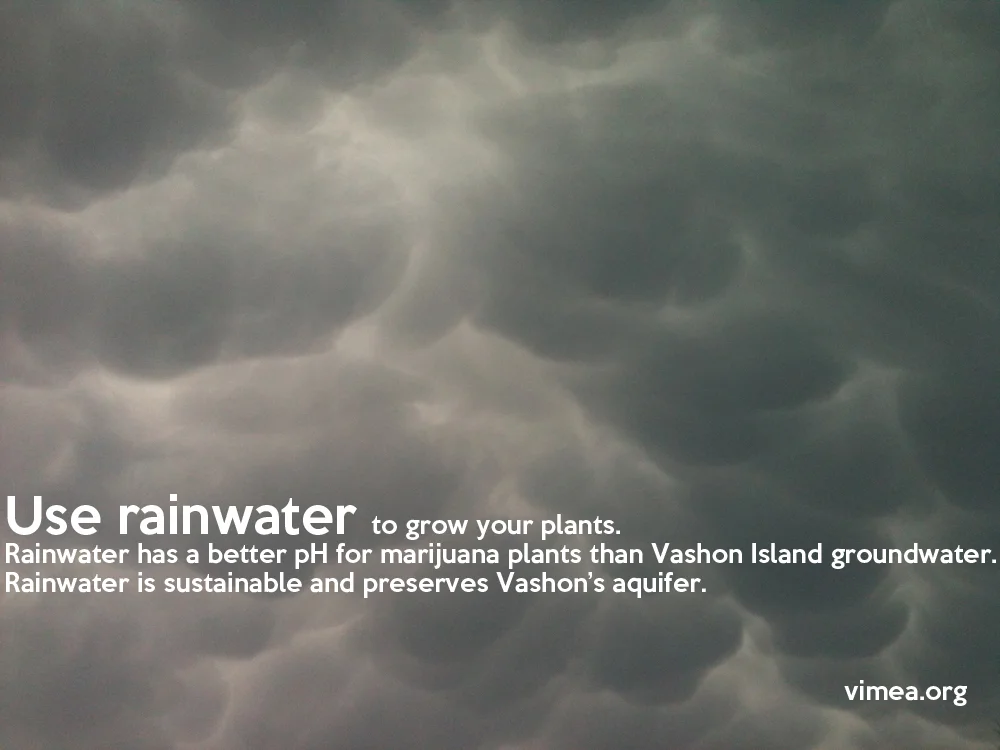 Rainwater_clouds_vimea.jpg