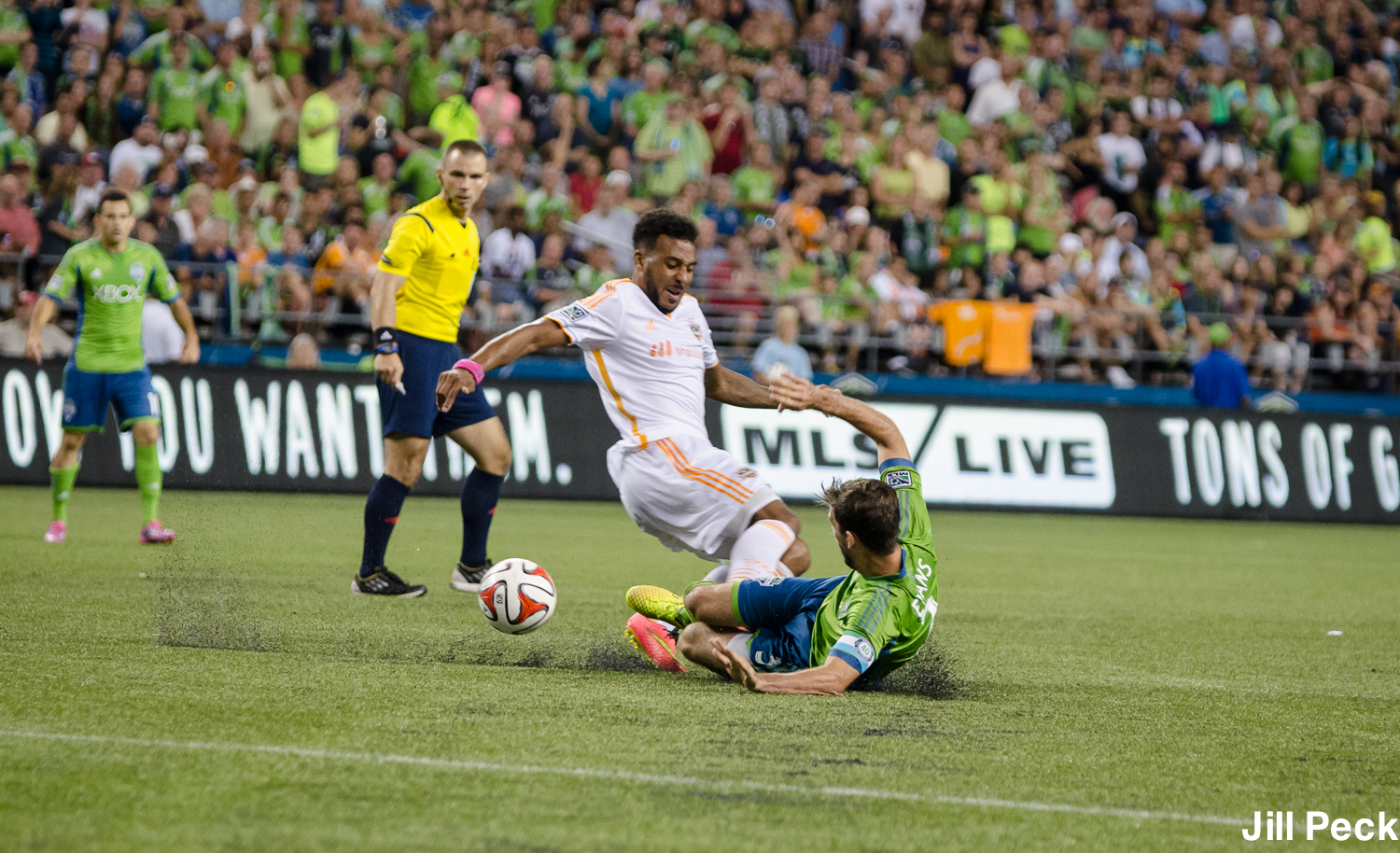 8.10.2014SEAvHOU-12.jpg