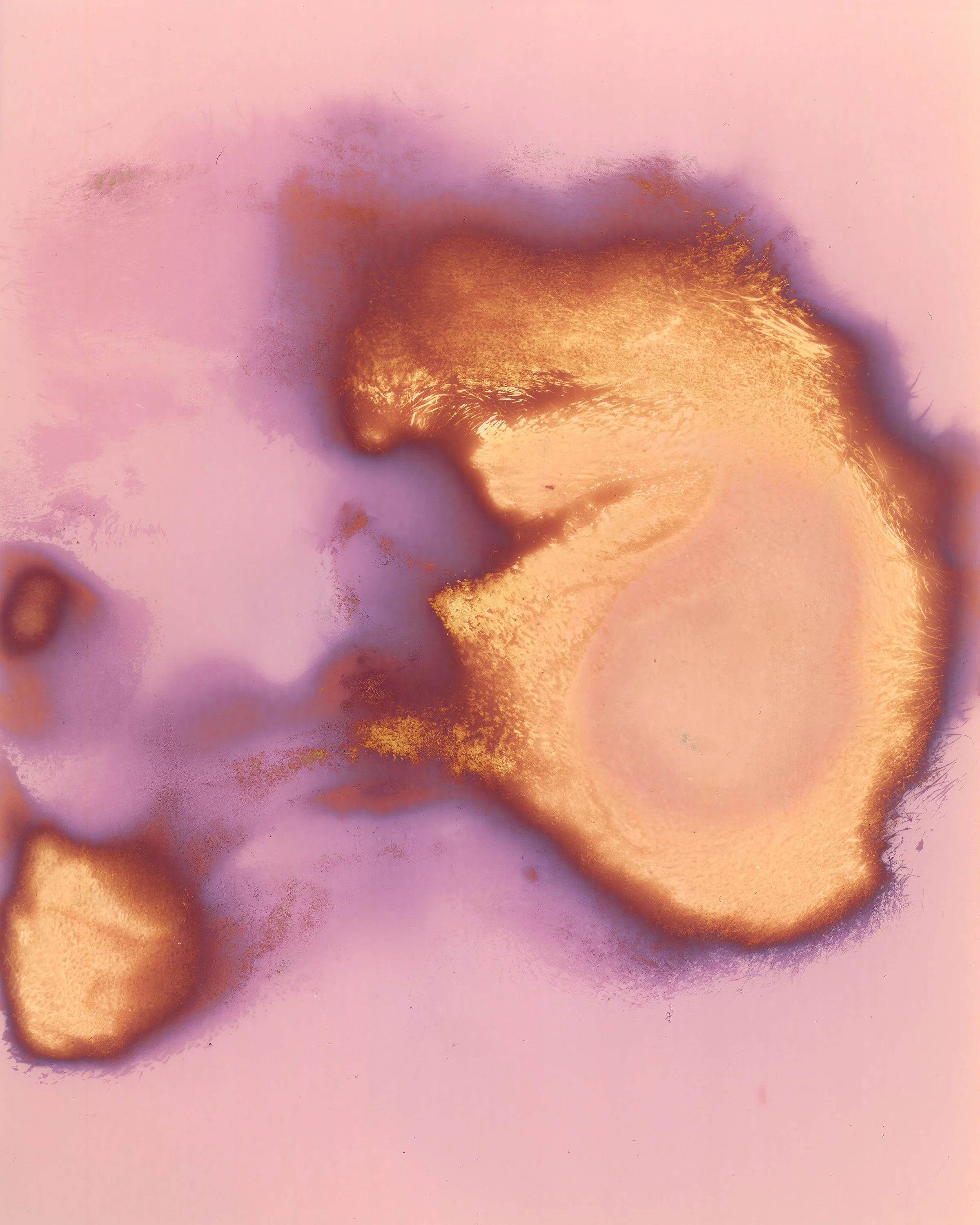 faces_049-ashleigh print copy.jpg