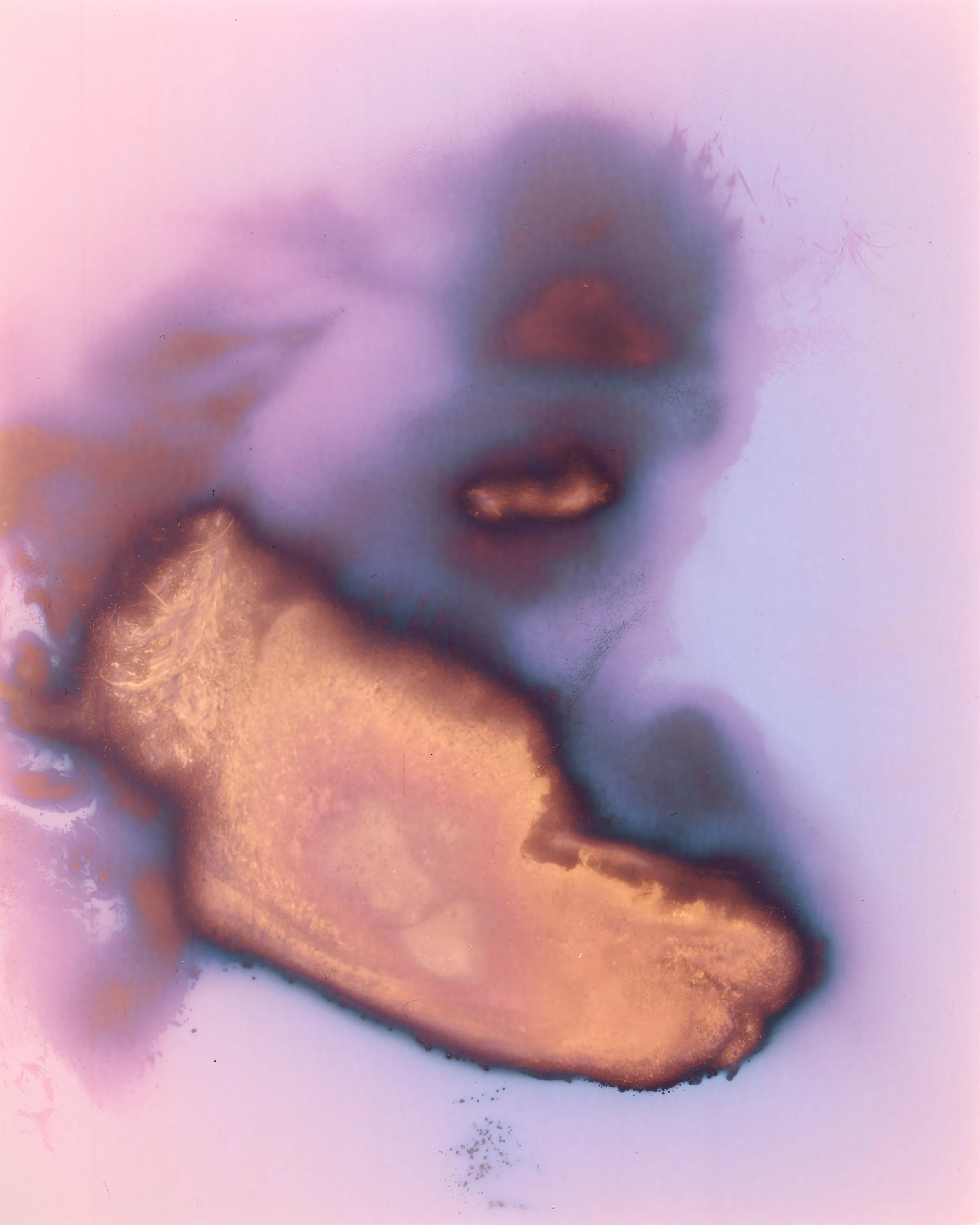 faces_052-tem print copy.jpg