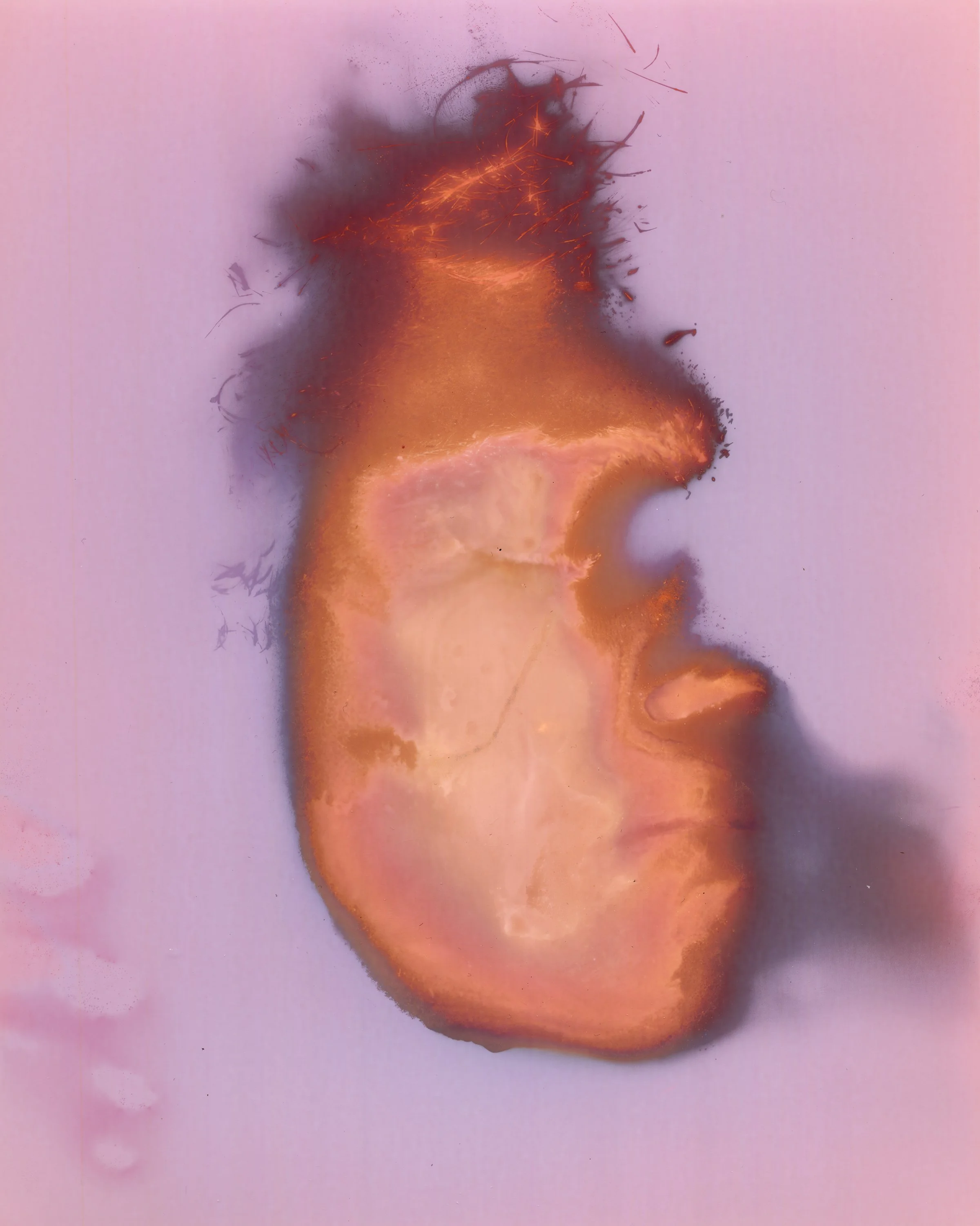 faces-alex_108 print copy.jpg