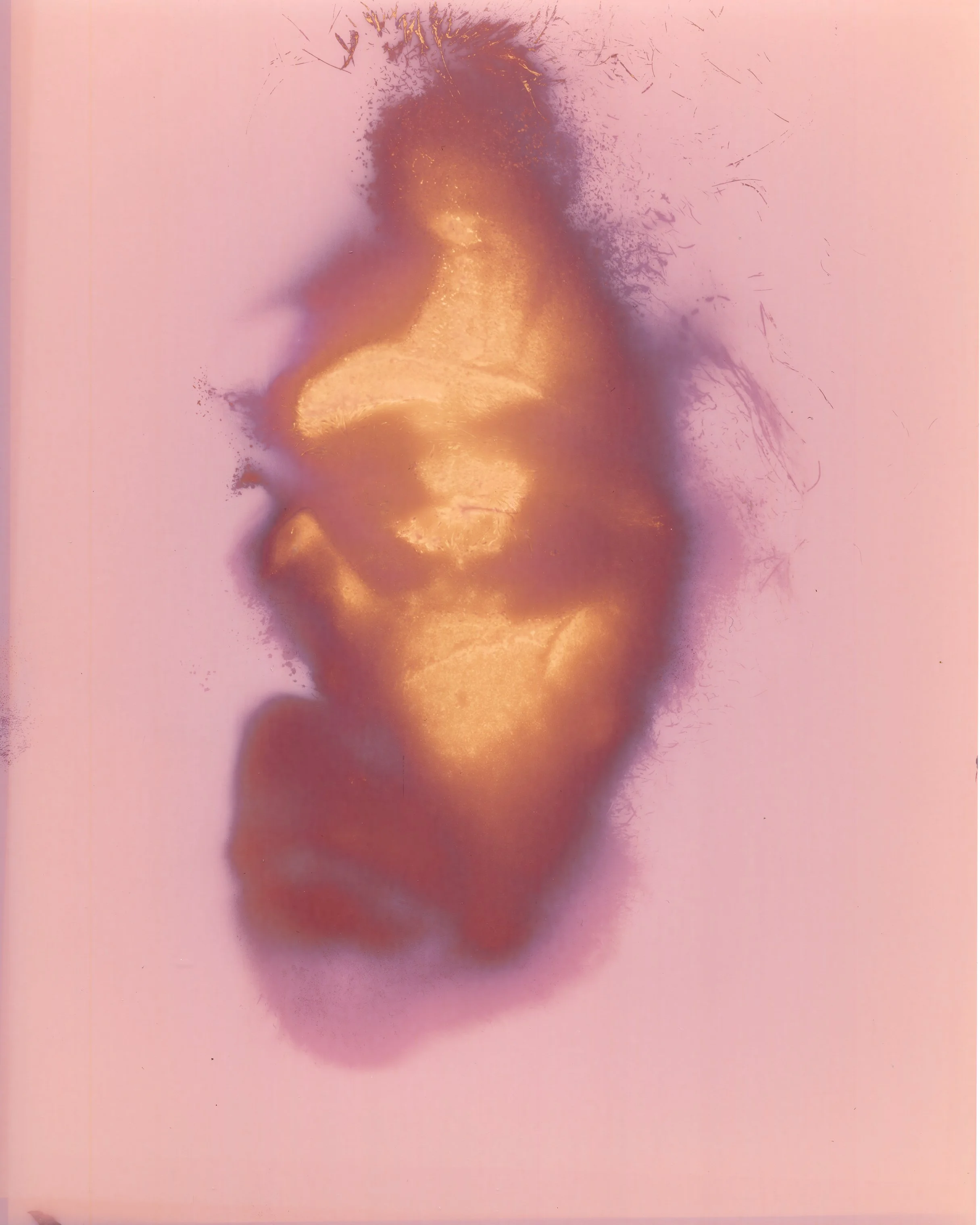 faces-evan_105 copy.jpg