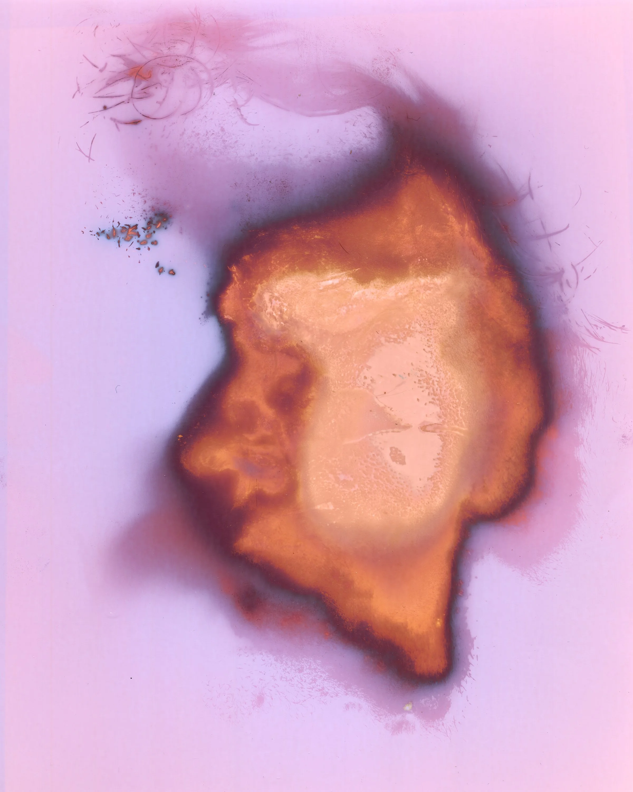 faces-roxie_072 print copy.jpg