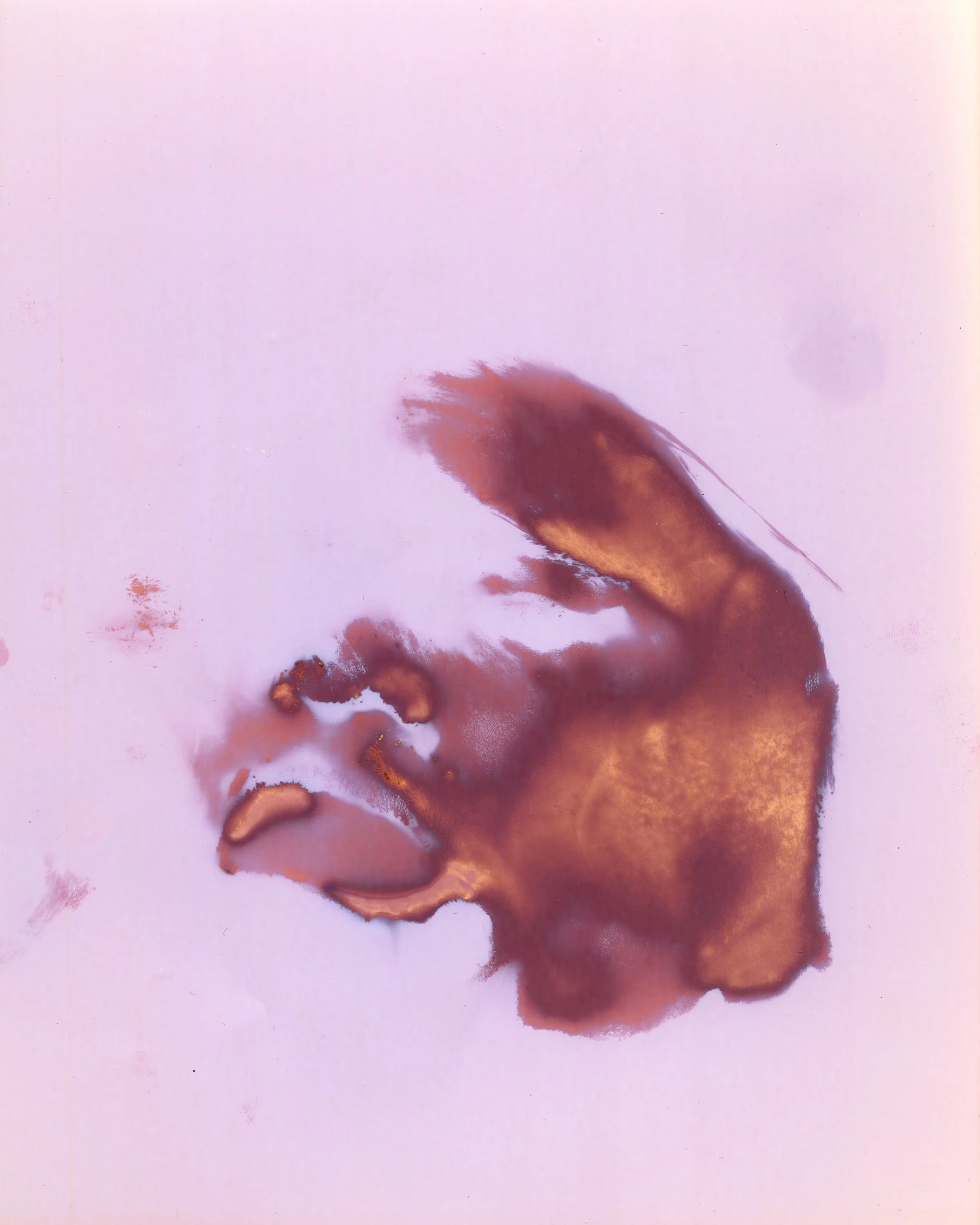 faces-sadie_088 copy.jpg