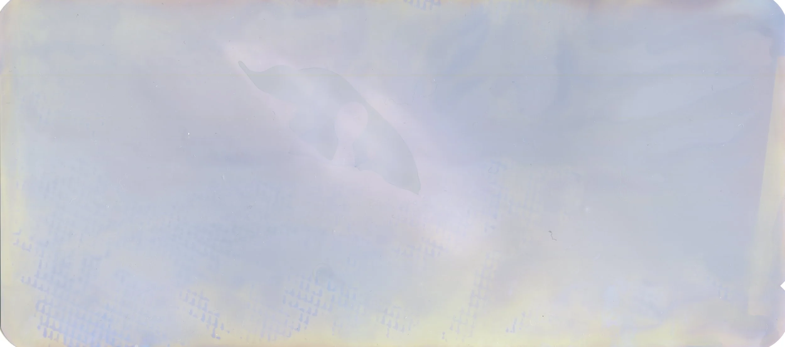 melts_075.jpg