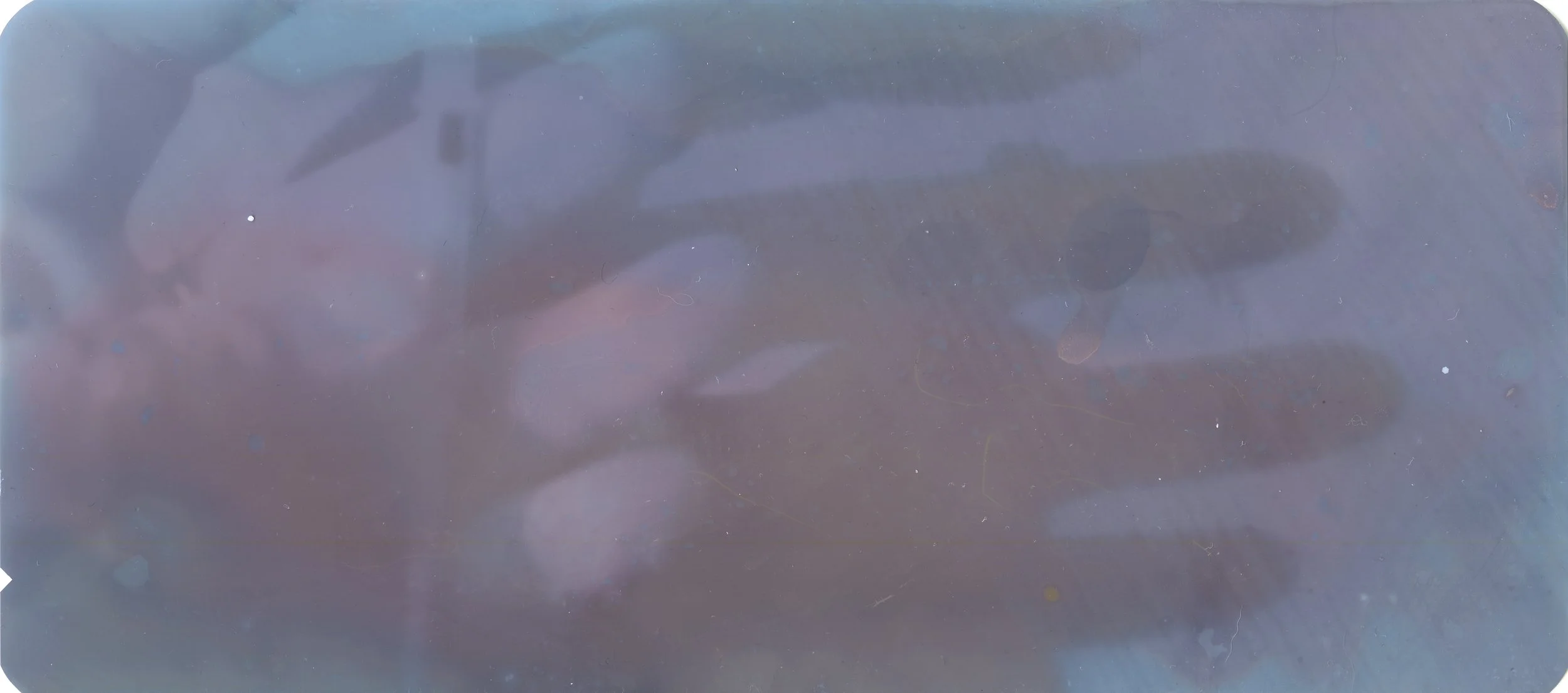 melts_078.jpg