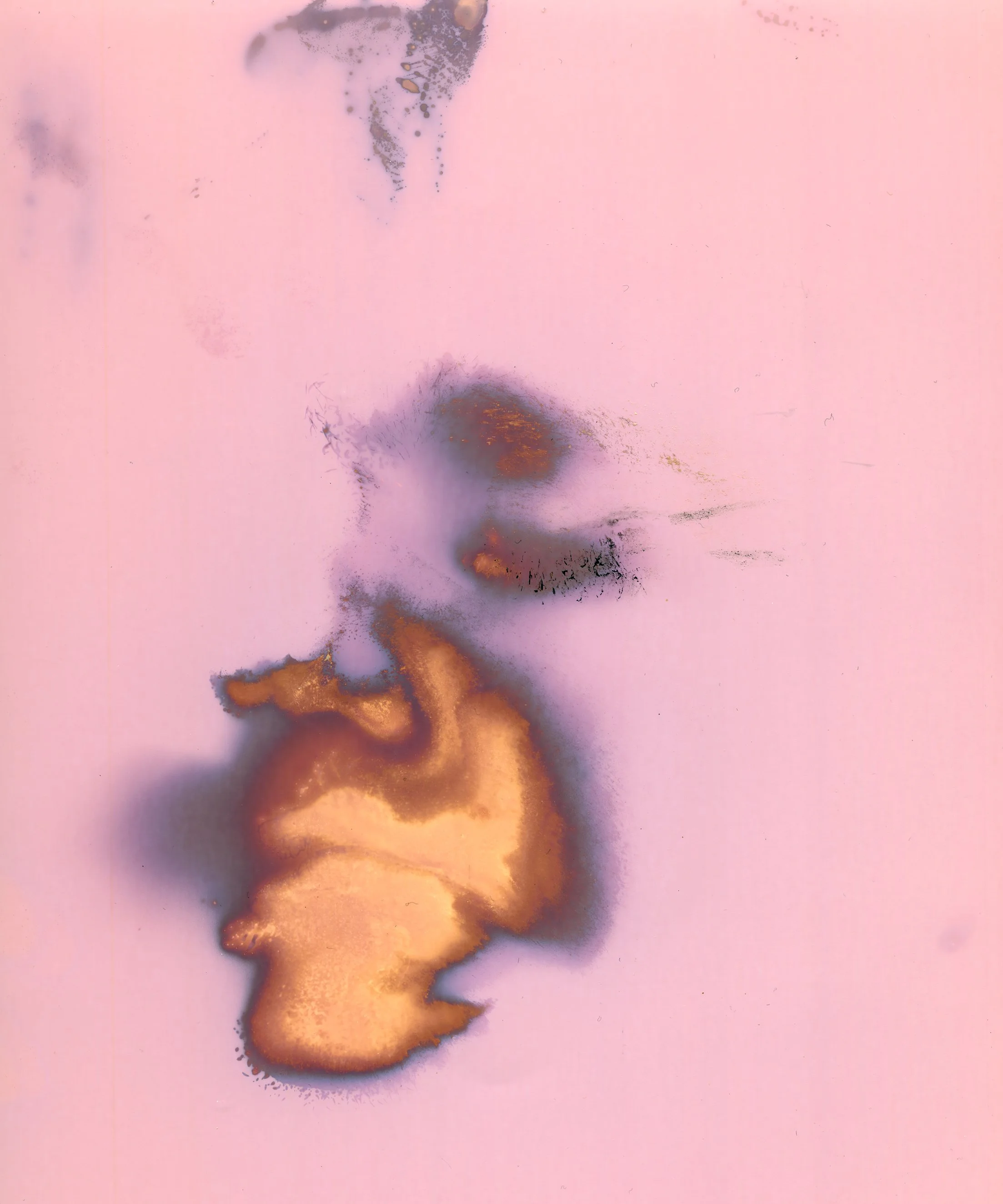 "Hannah," Lumen print of facial contact pressing with oil and sweat, made on Multitone 8x10 RC paper, 2025. 