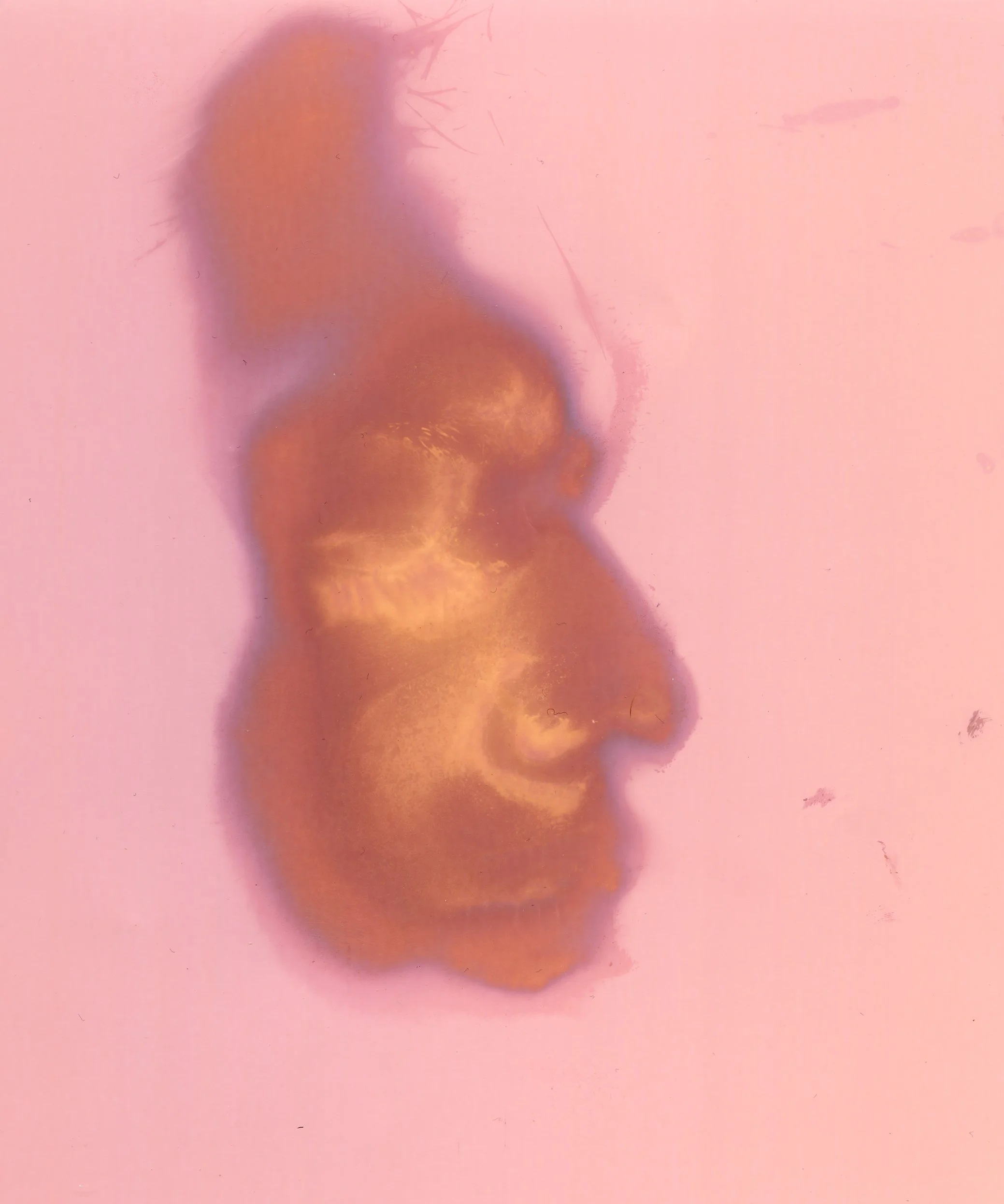 "Morvarid," Lumen print of facial contact pressing with oil and sweat, made on Multitone 8x10 RC paper, 2025. 