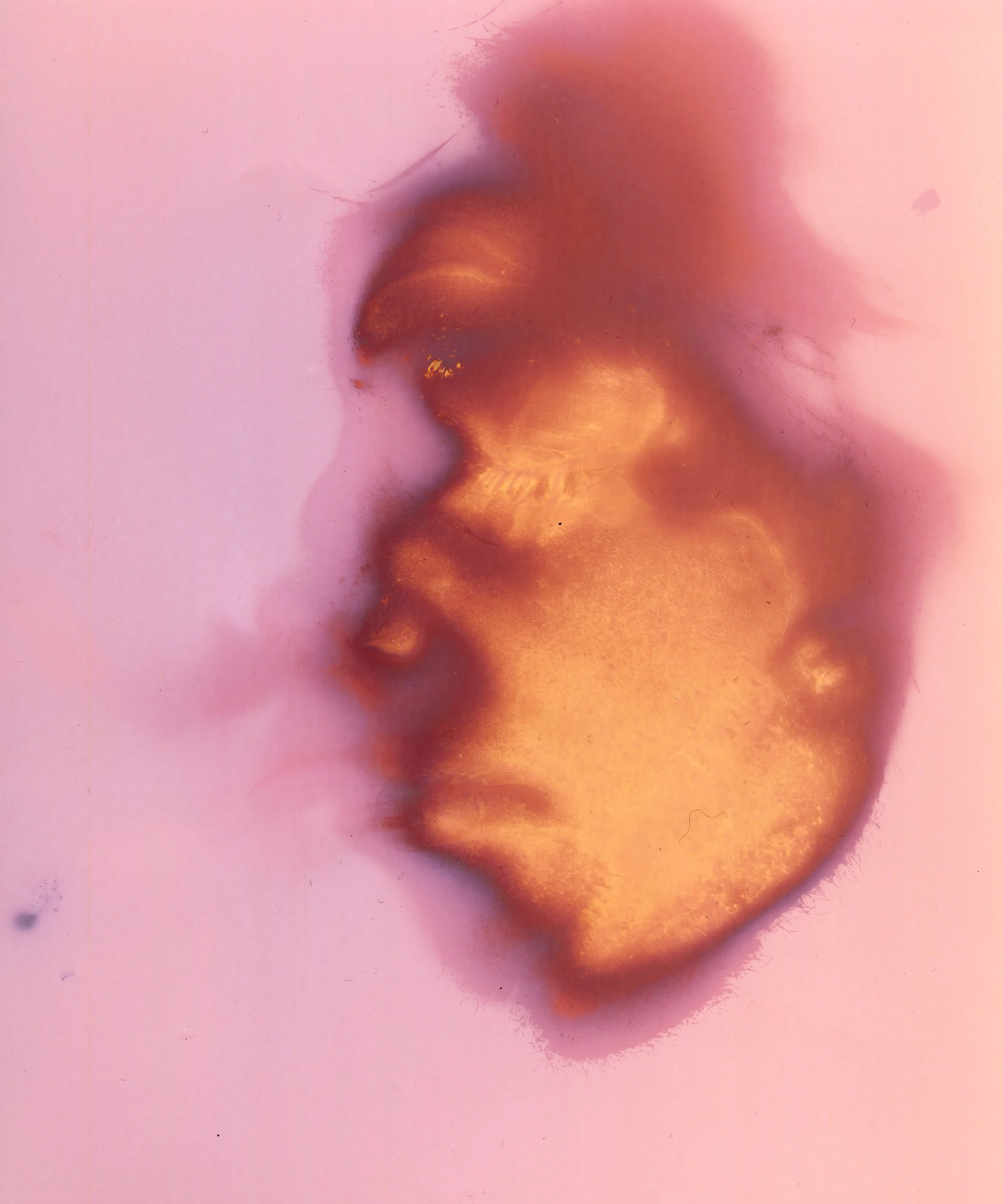 "Leslie," Lumen print of facial contact pressing with oil and sweat, made on Multitone 8x10 RC paper, 2026. 
