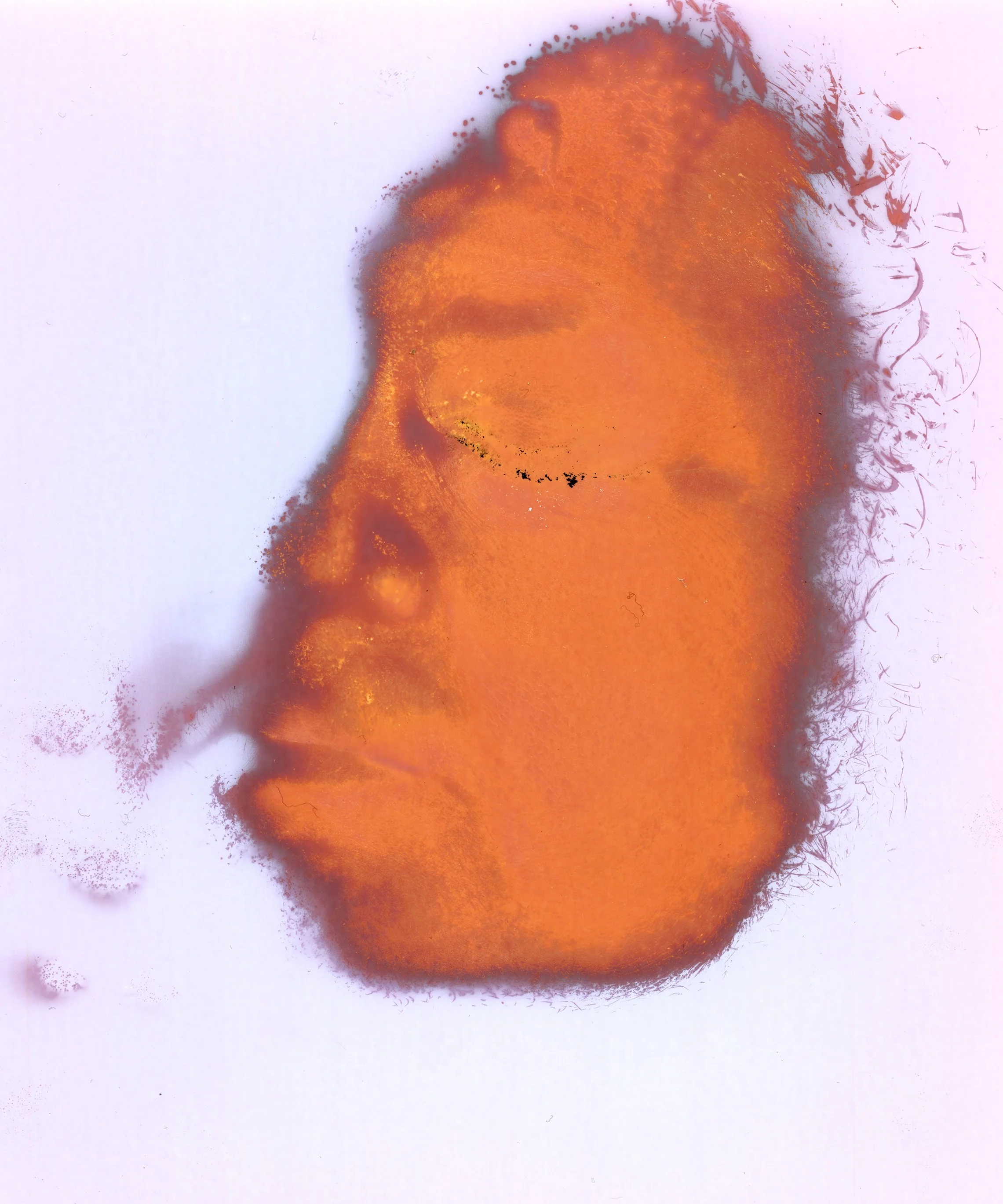 "Jen," Lumen print of facial contact pressing with oil and sweat, made on Multitone 8x10 RC paper, 2026. 