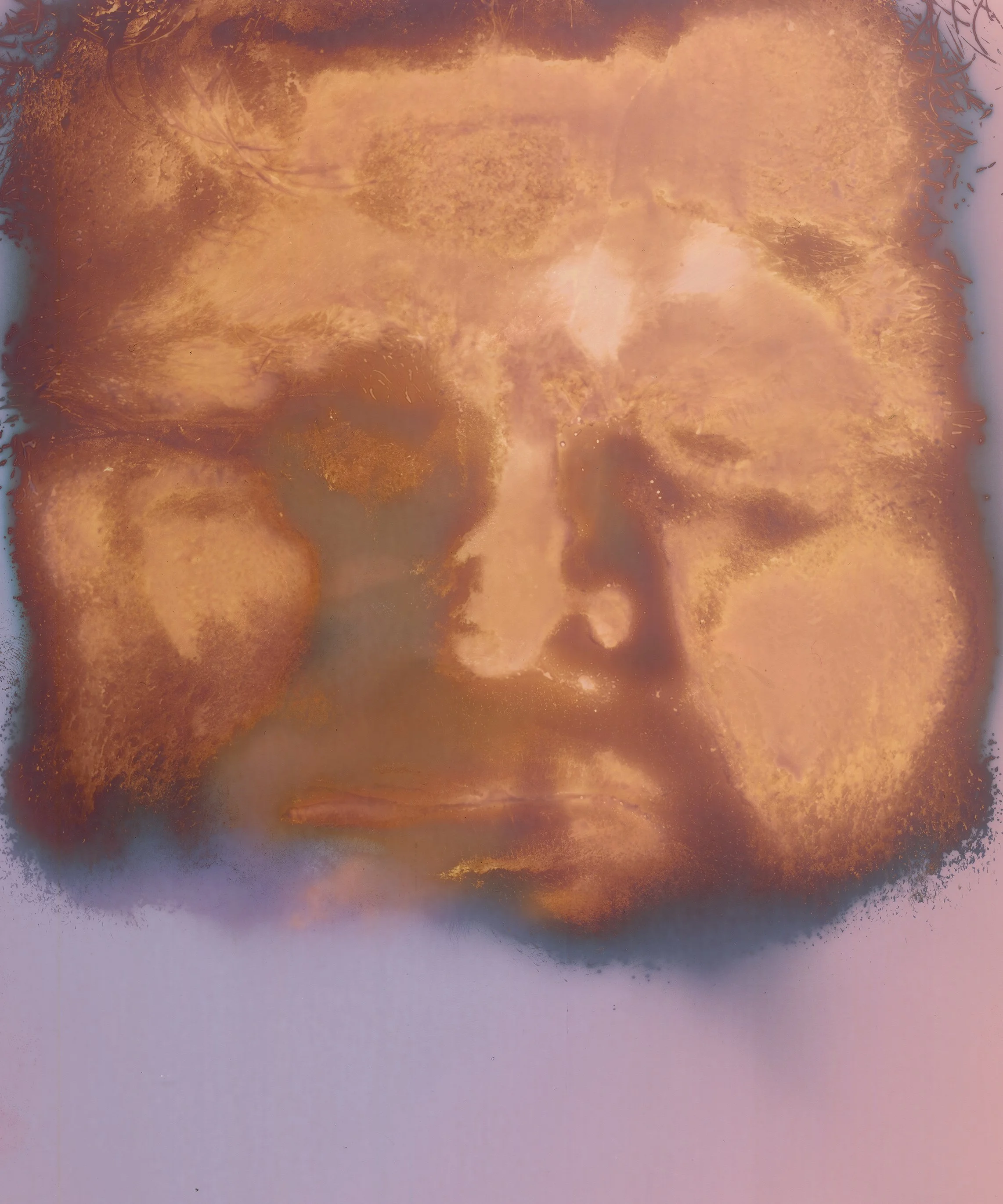 "Ross," Lumen print of facial contact pressing with oil and sweat, made on Multitone 8x10 RC paper, 2026. 