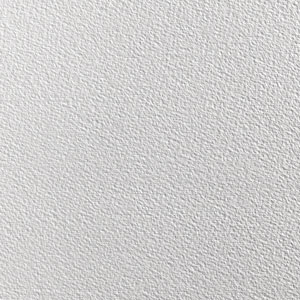 Sample of cold pressed paper. You can see the grain on this one.