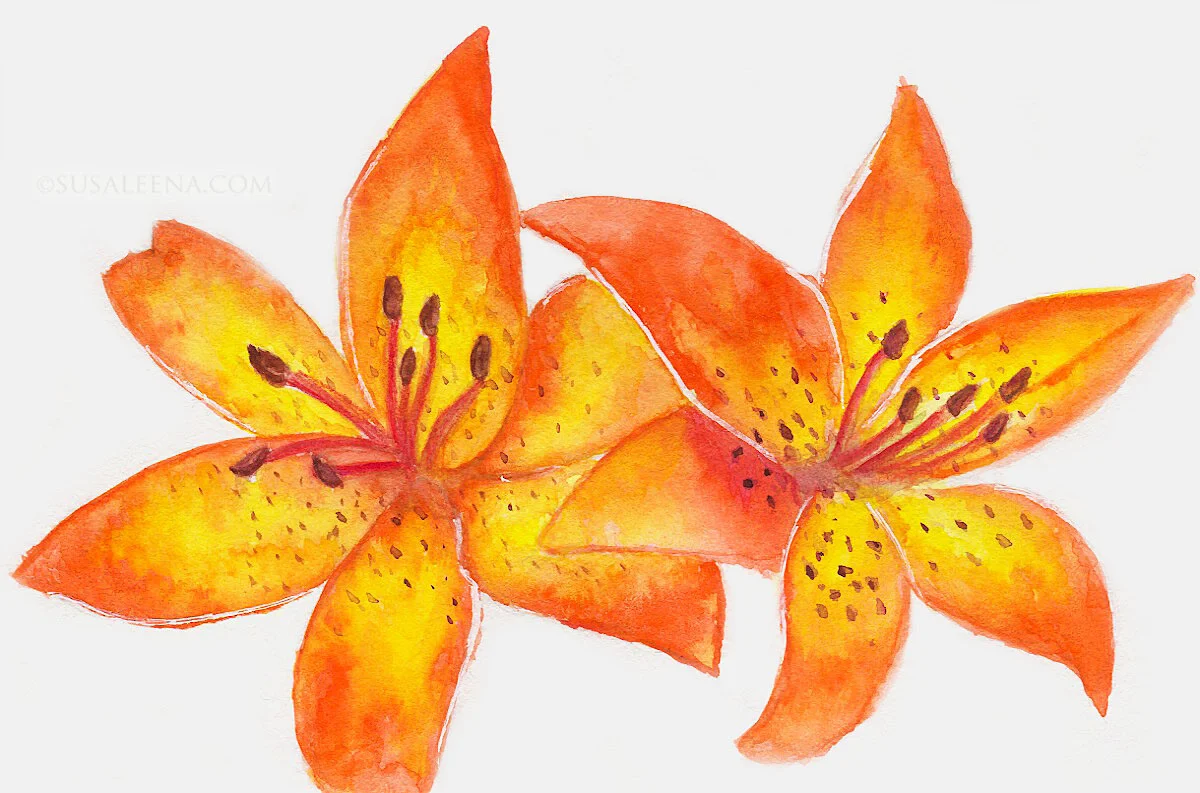 Stillman & Birn Journal Review