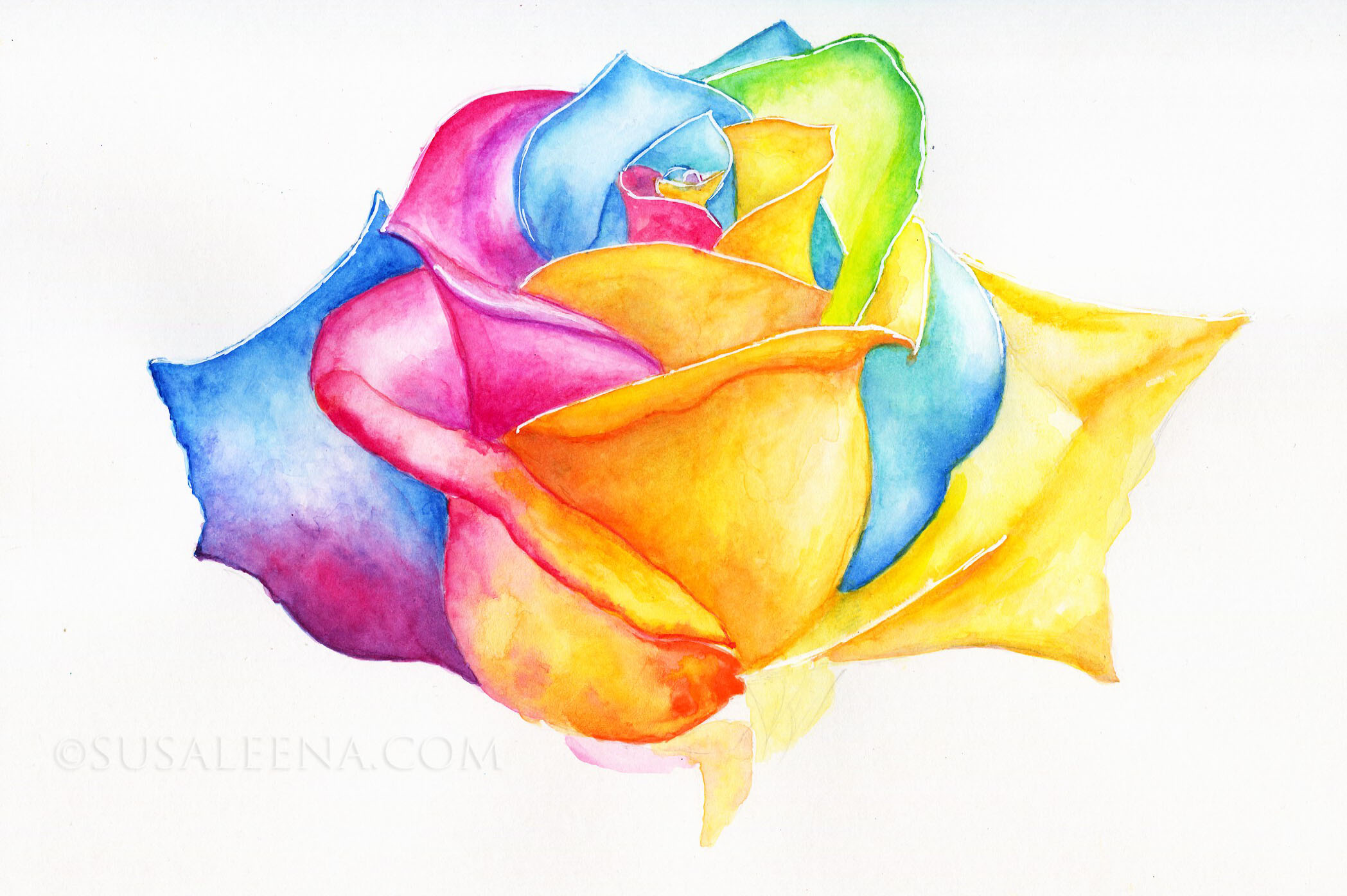 Rainbow Rose