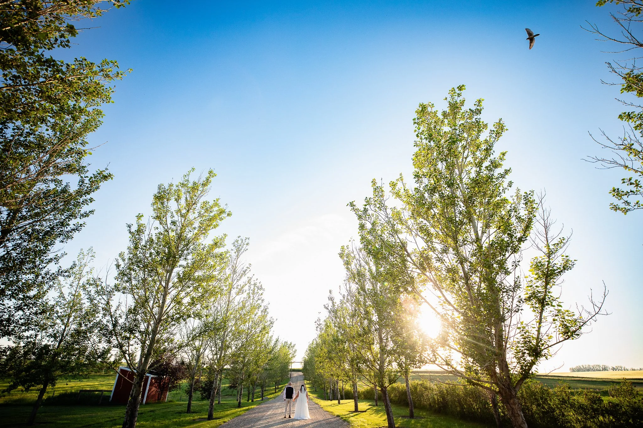 Prairie Lane Barn Wedding | The Nogues Photography