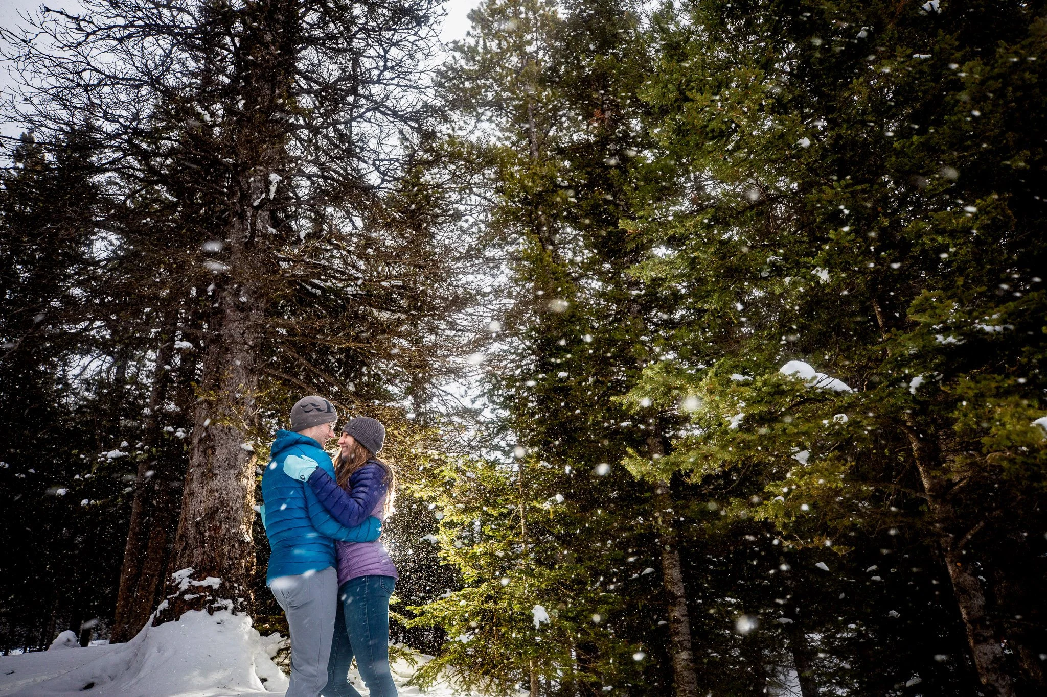 Couple cuddling among snow-covered trees during a romantic Kananaskis winter engagement session.