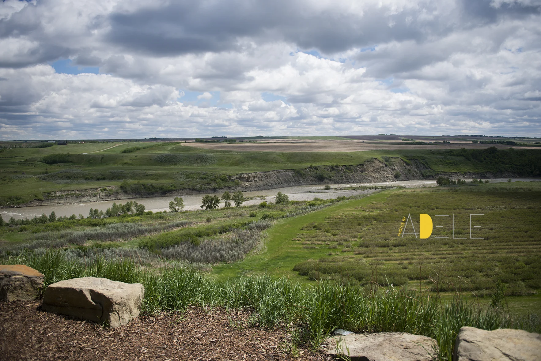 SaskatoonFarm3859.jpg