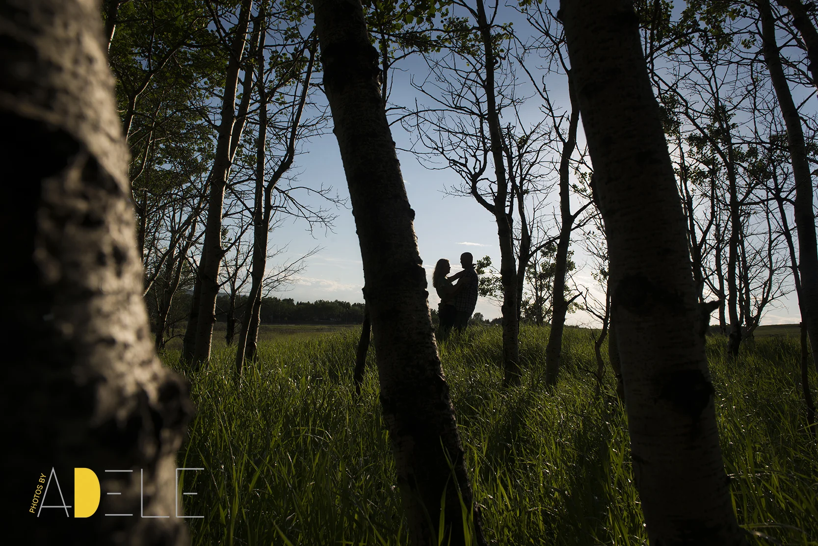Shelagh&Chad6659.jpg