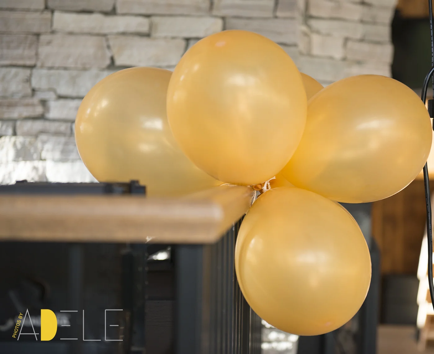 Shelagh&Chad4917.jpg