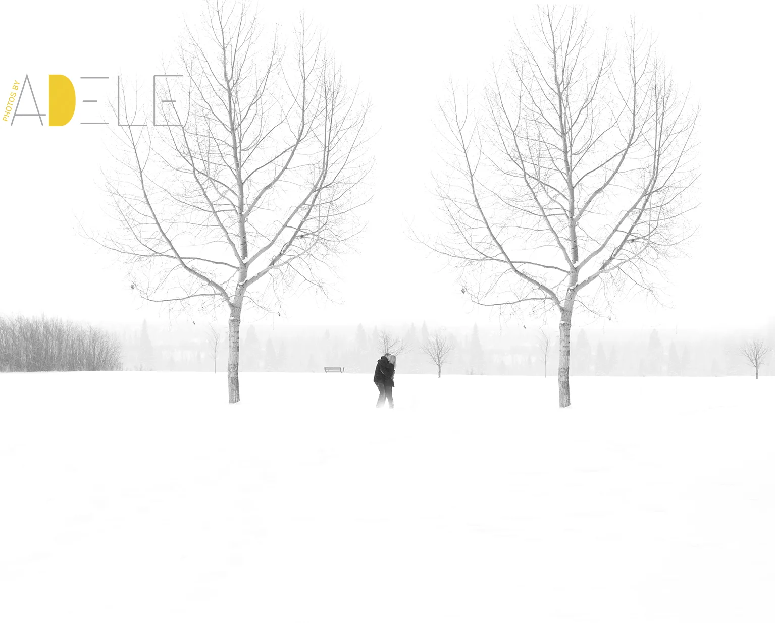 Calgary Wedding Photographer; Photos By Adele's Take On Winter W