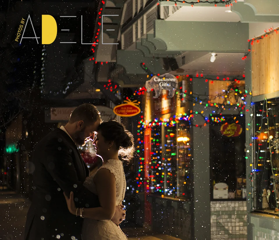 Calgary Wedding Photographer; Photos By Adele's Take On Winter W