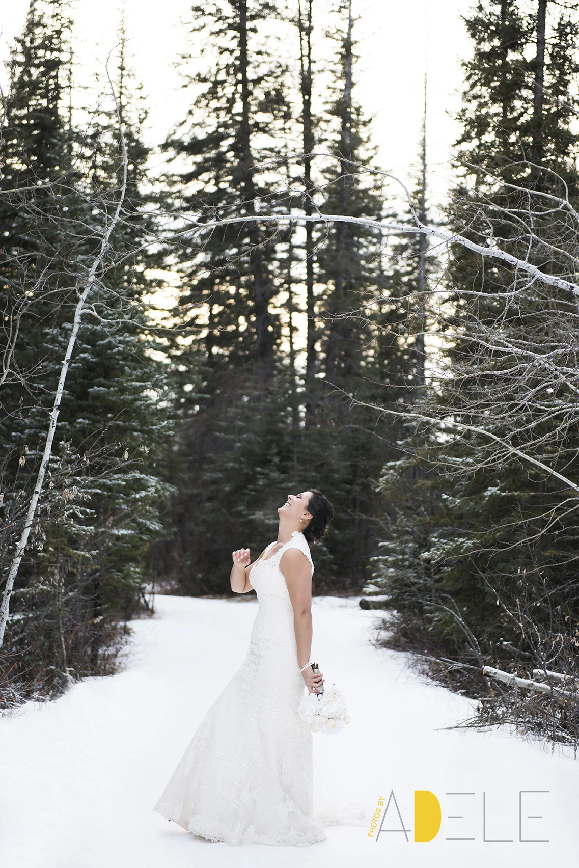 Calgary Wedding Photographer; Photos By Adele's Take On Winter W