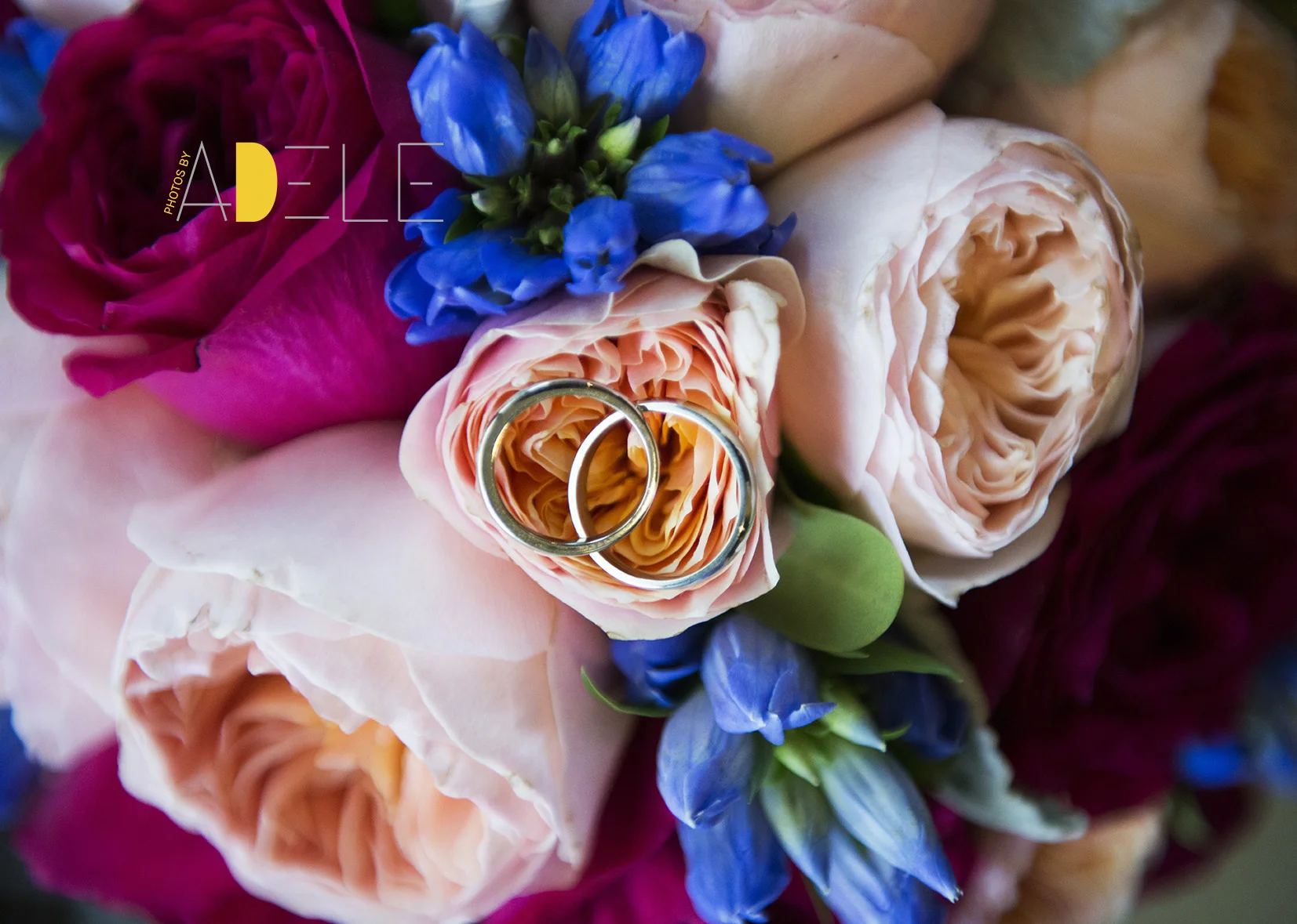 Calgary Wedding Photographer; Photos By Adele's Take On Wedding