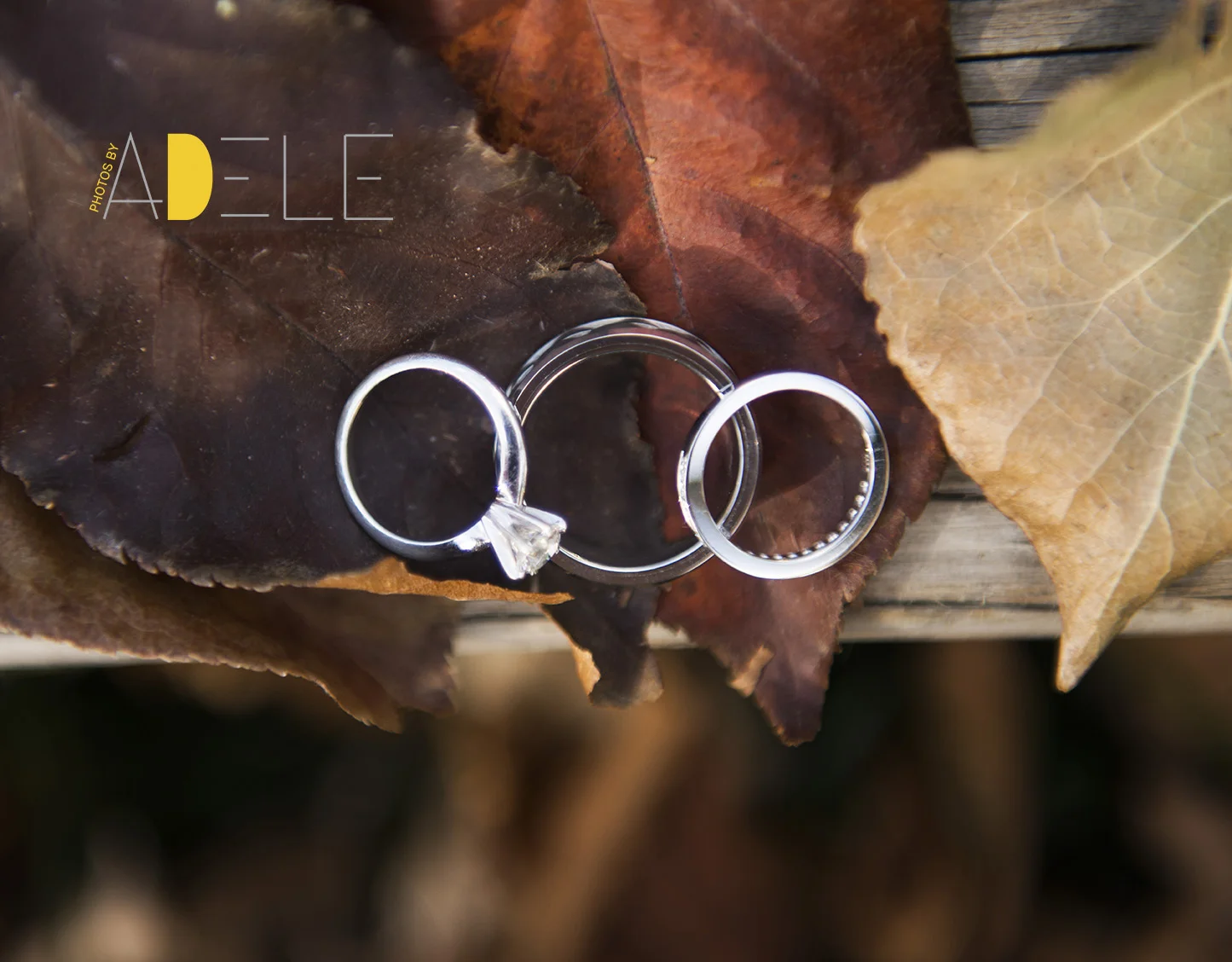 Calgary Wedding Photographer; Photos By Adele's Take On Wedding