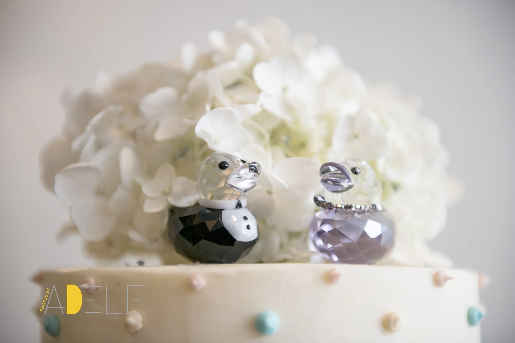 Calgary Wedding Photographer; Photos by Adele's Take On Wedding