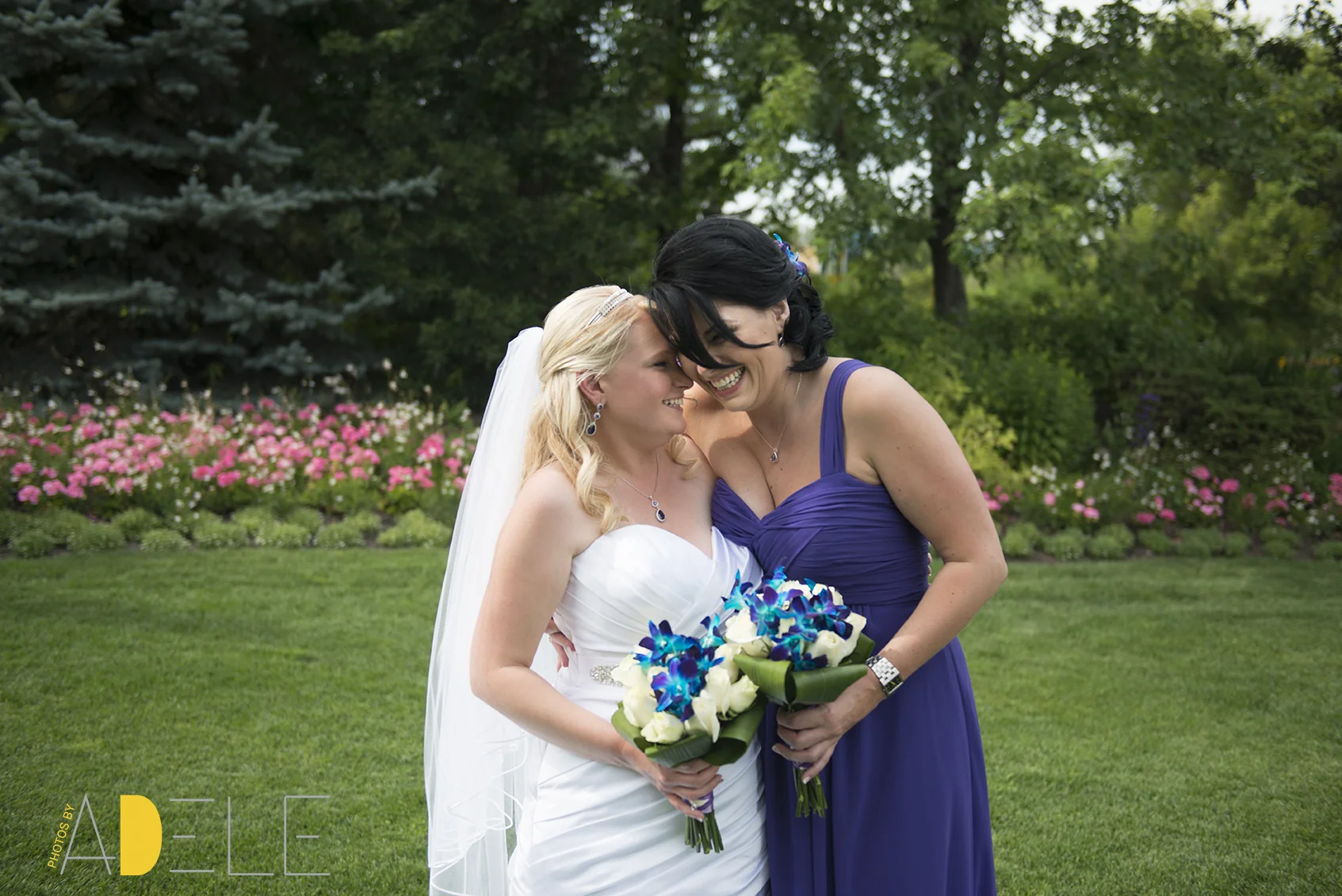 Calgary wedding Photographer; Photos By Adele's Take On How Much