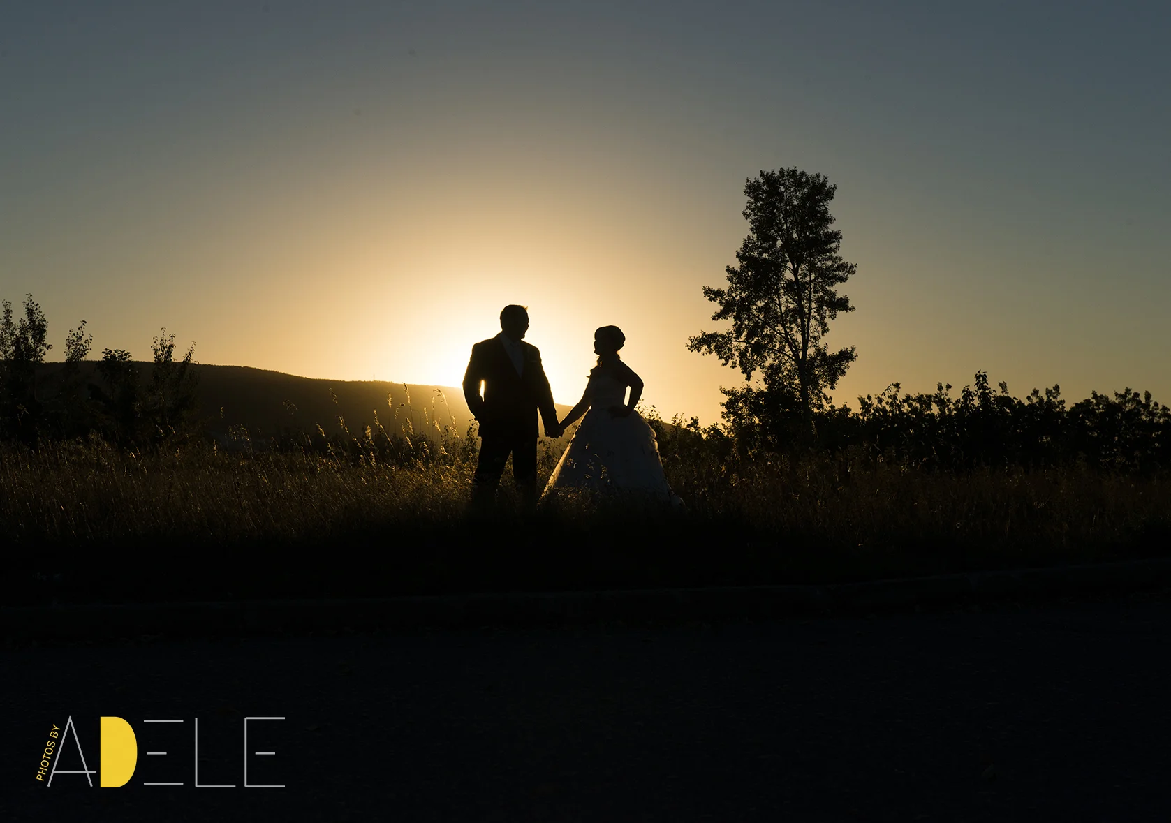 Calgary wedding Photographer; Photos By Adele's Take On How Much