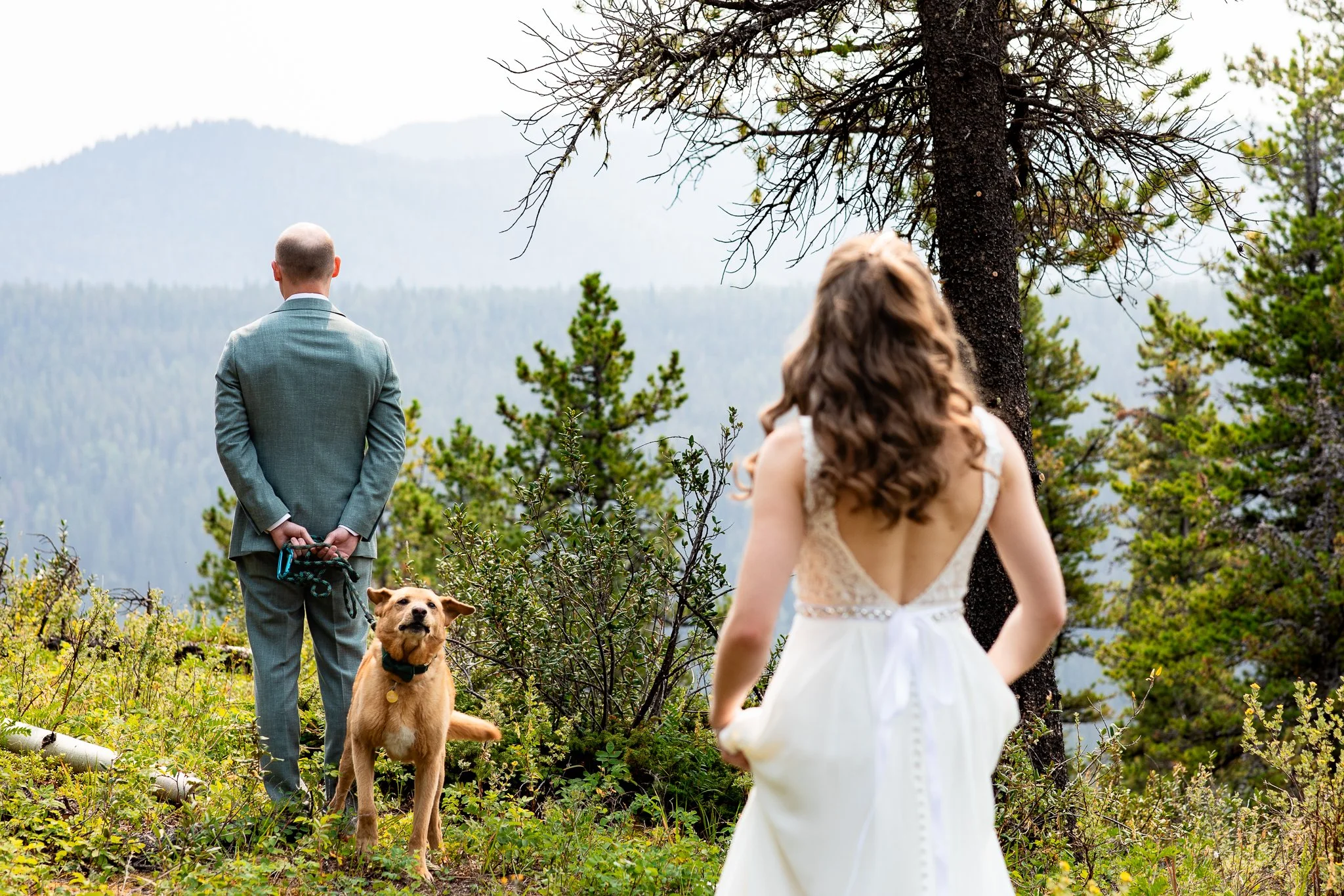 Bride and groom sharing a first look with their dog Kai in the woods at a Calgary mountain wedding