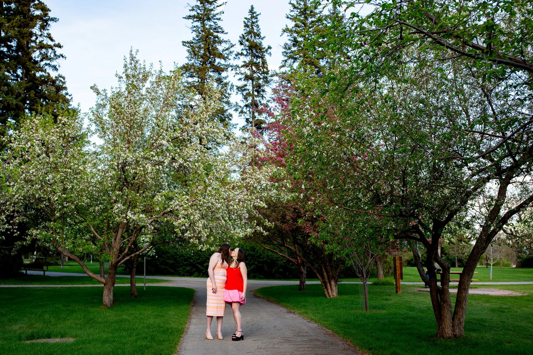 Dianna and Annika embracing beneath colourful spring blossoms during their Calgary engagement session.