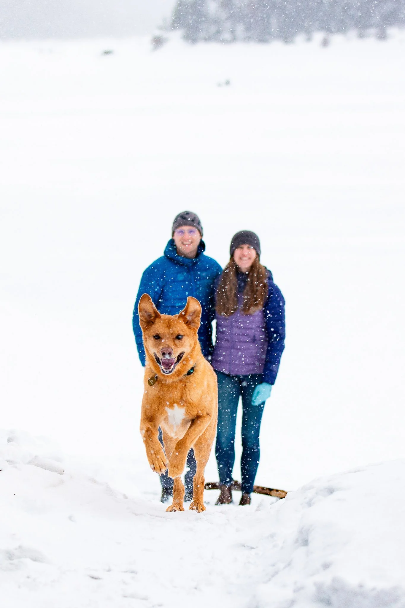 Winter Engagement Session in Upper Kananaskis | Tyler &amp; Taryn