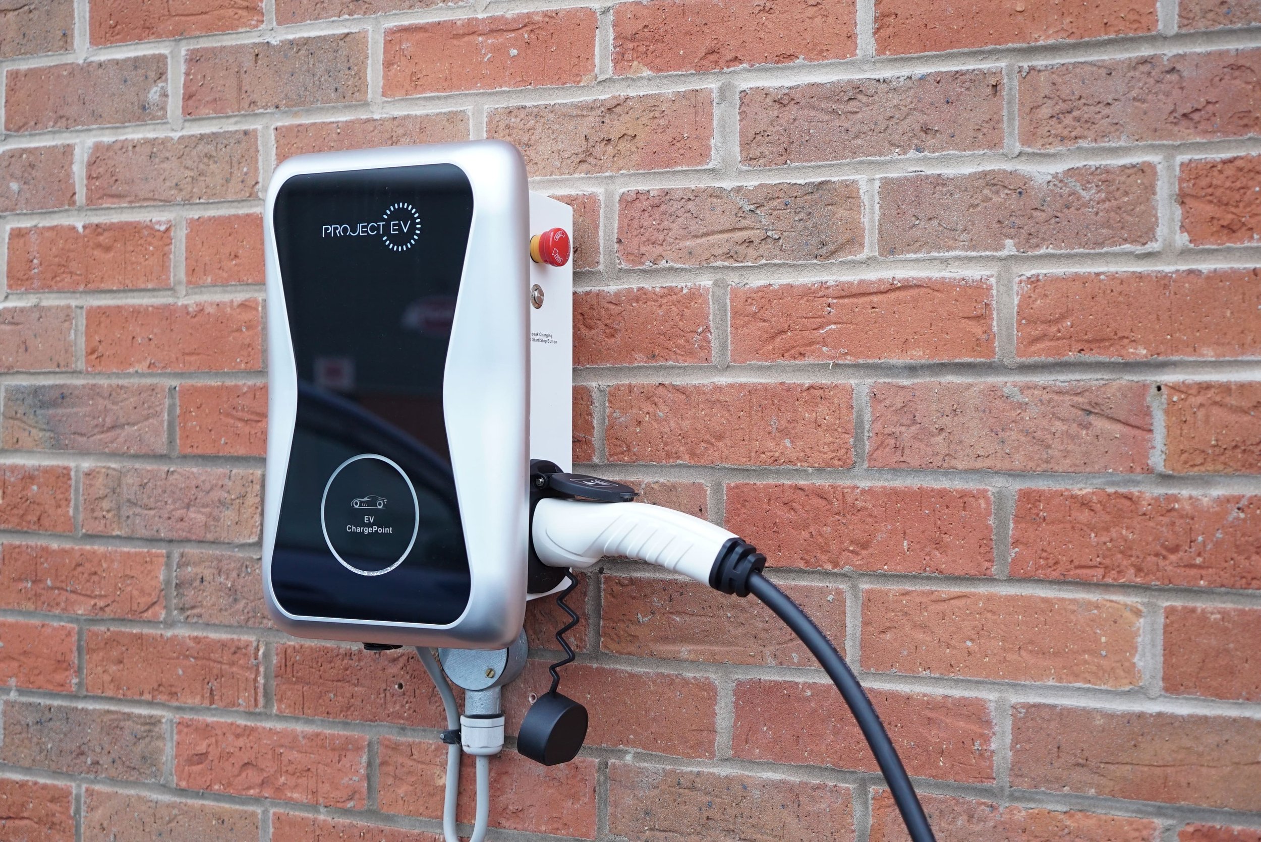 project EVA 07S SE on wall.jpeg