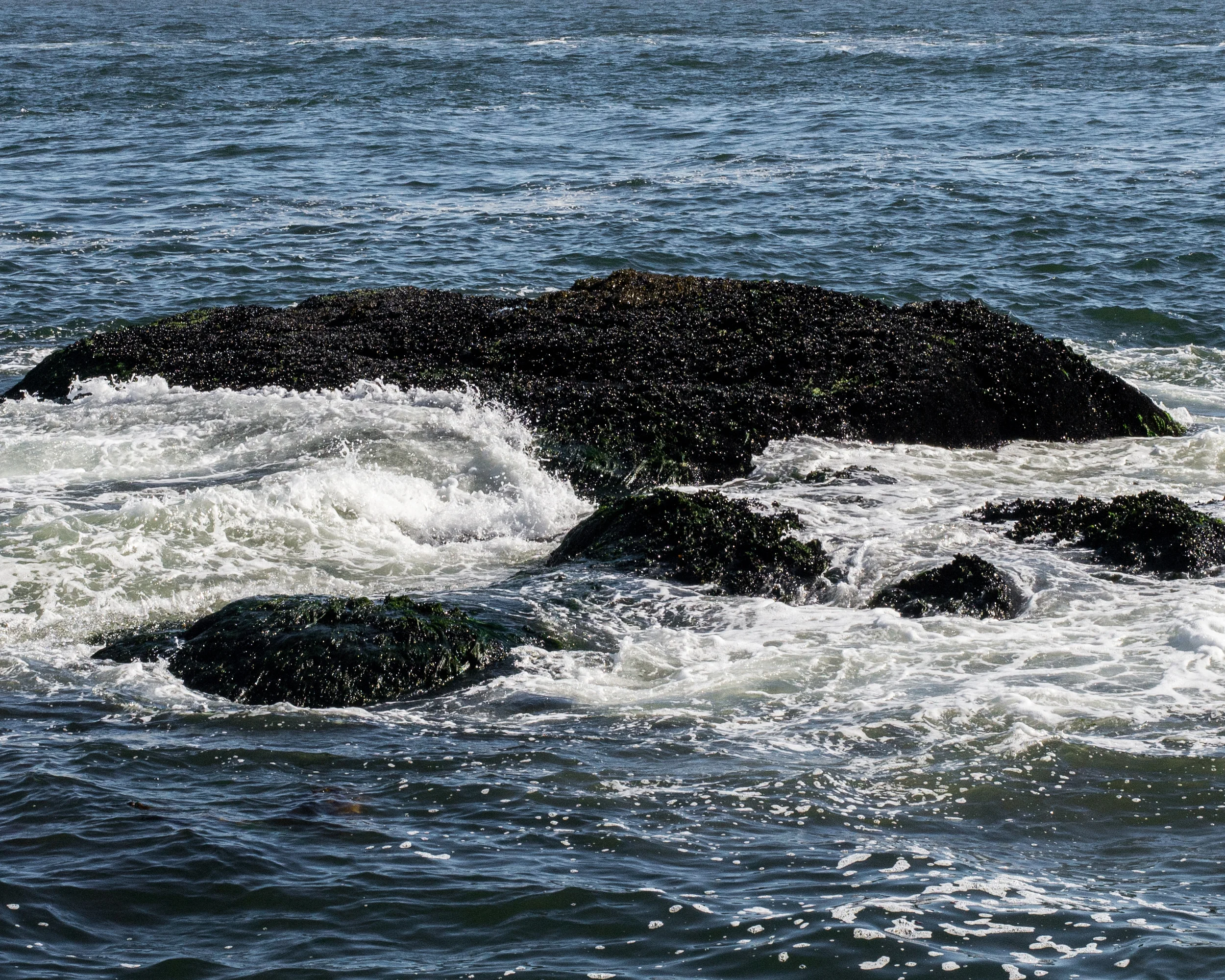 _DSC0338.jpg