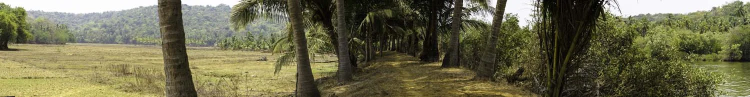 River, walking path, and field panorama