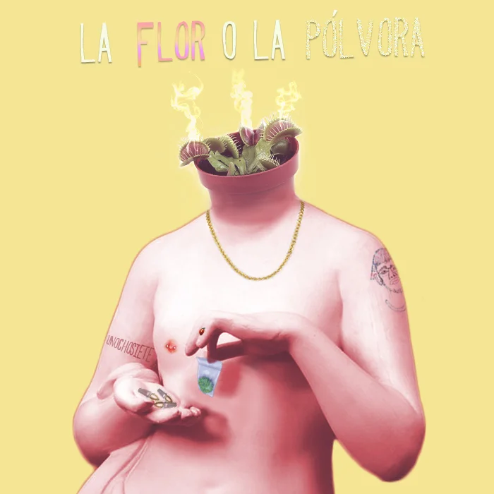 la flor o la polvora.jpg