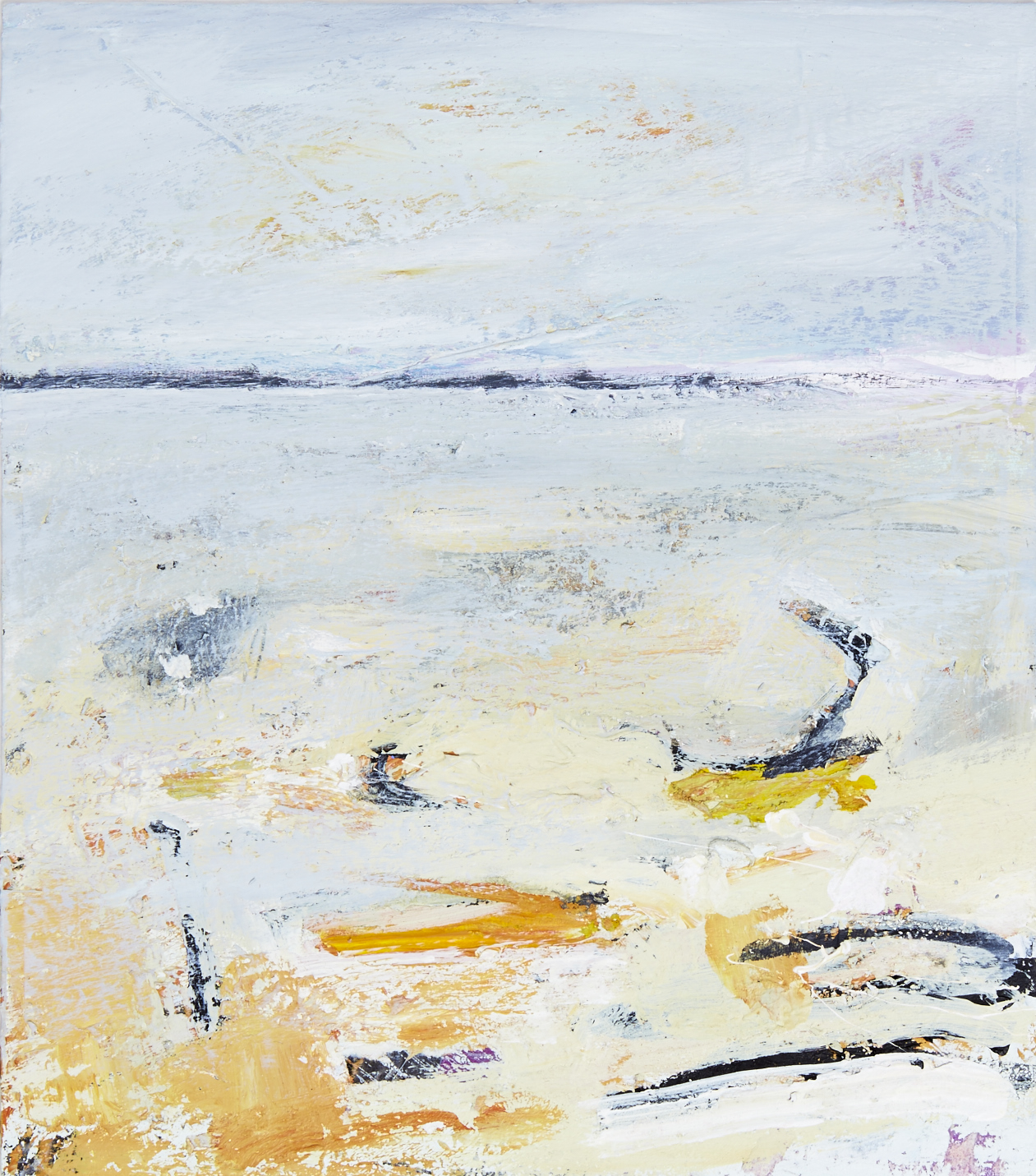 DavidLyonArtThe Beach at Coille Ghille - 300dpi 50%.jpg