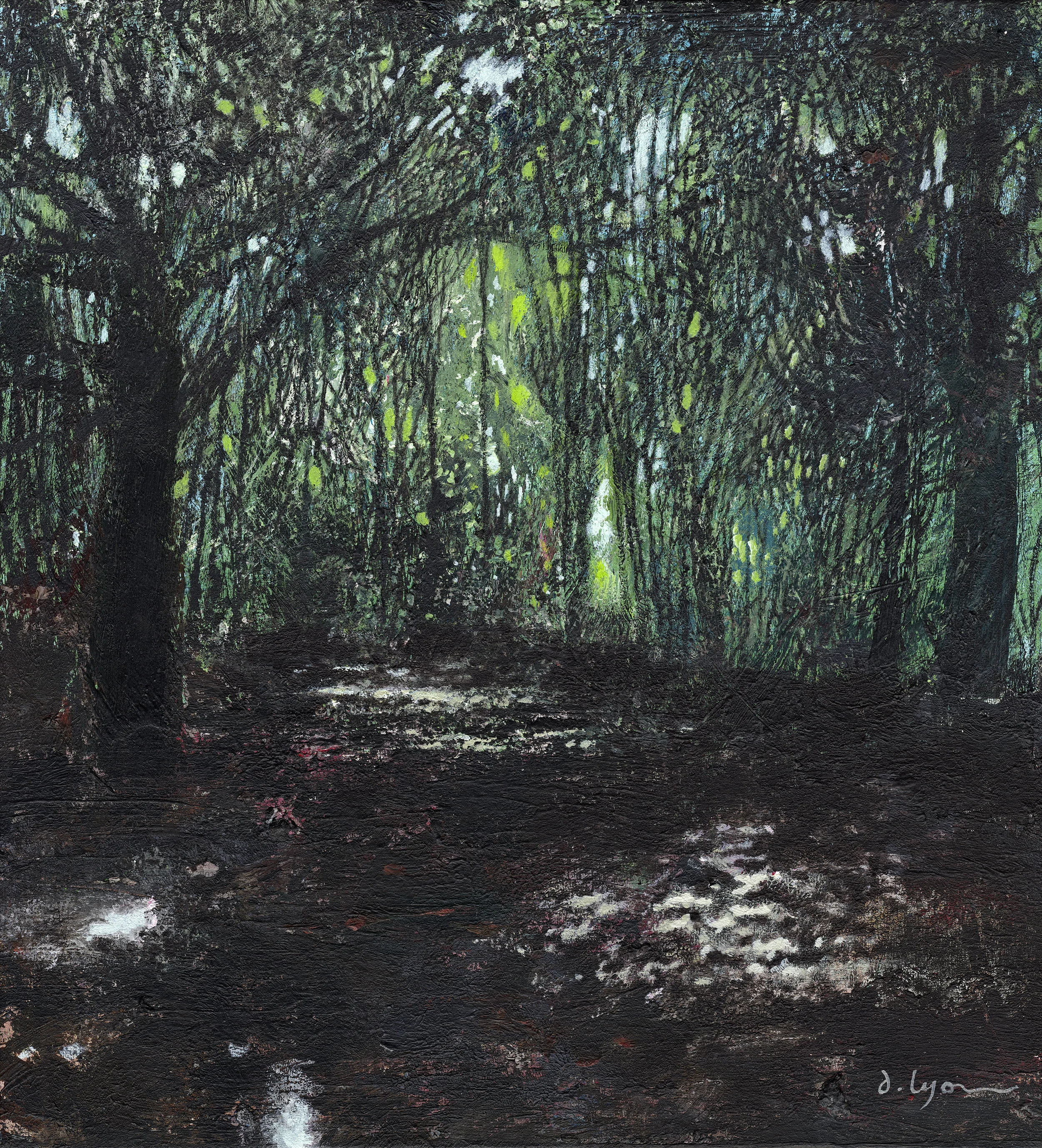 Roundhay Park: Sunlight Through The Wood