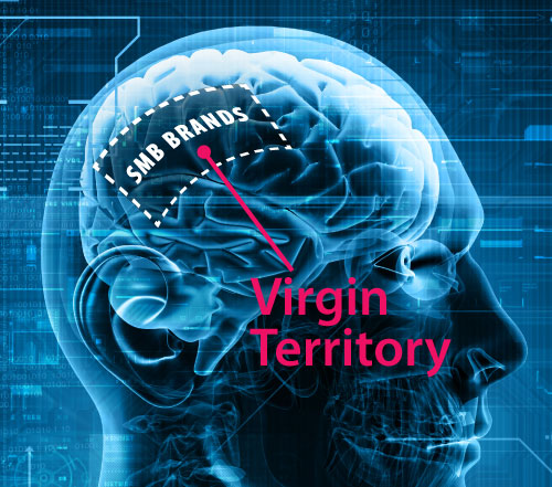 Marketing is a quest for customer mindshare. In your market, that territory is largely unexploited—presenting a great opportunity for you.