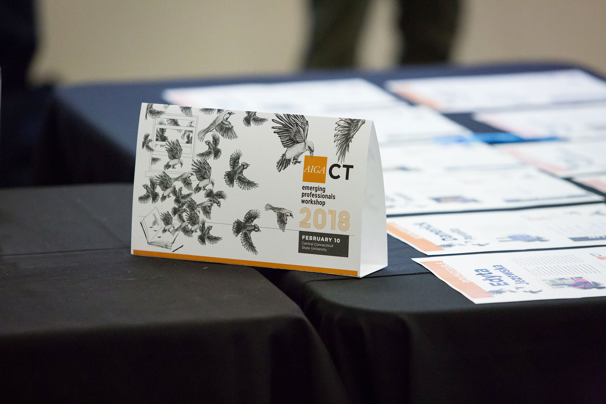 DuquetteDesign_AIGACT_EPW_2018-31.jpg