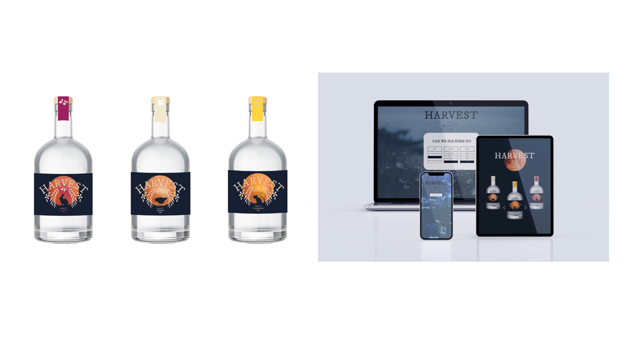 Harvest-Drink-Pockoski.jpg