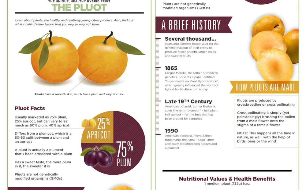 info-pluot.jpg