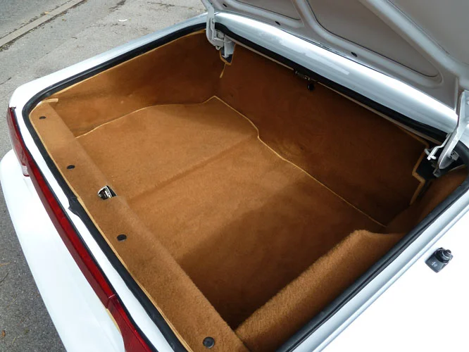 H793_GLT_Trunk_19-7-12.JPG
