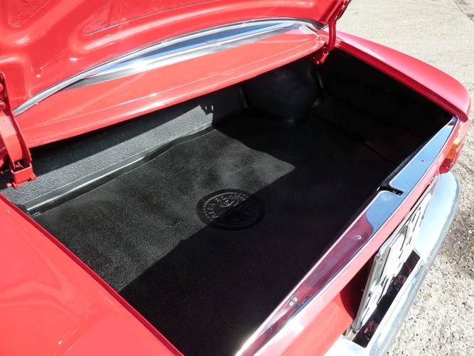 BYT_273B_Trunk_3-3-12.JPG