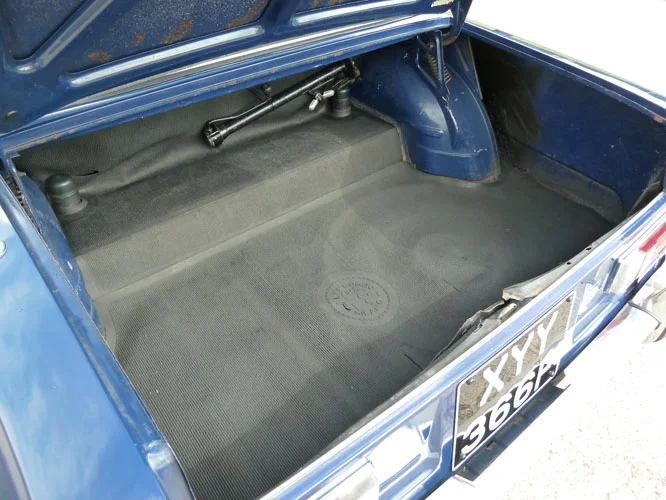 XYY_366F_Trunk_3-8-12.JPG