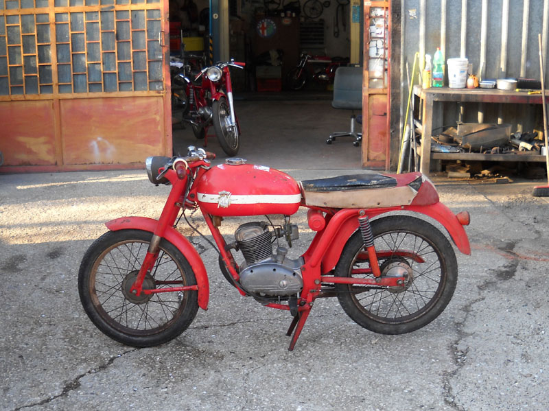 Liberty-811589_p1 - Copy.JPG